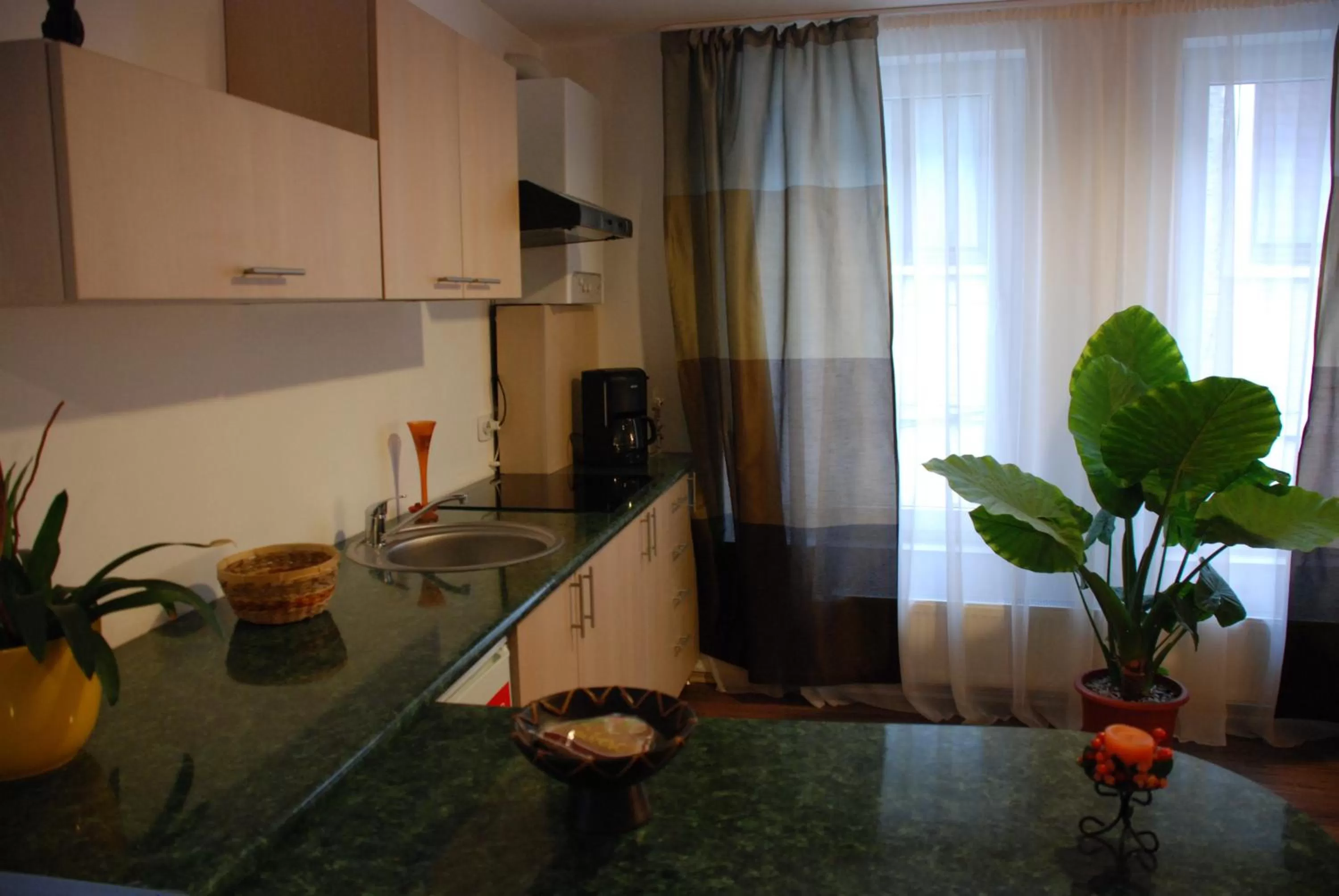 Coffee/tea facilities, Kitchen/Kitchenette in Lucas 10 Apartments