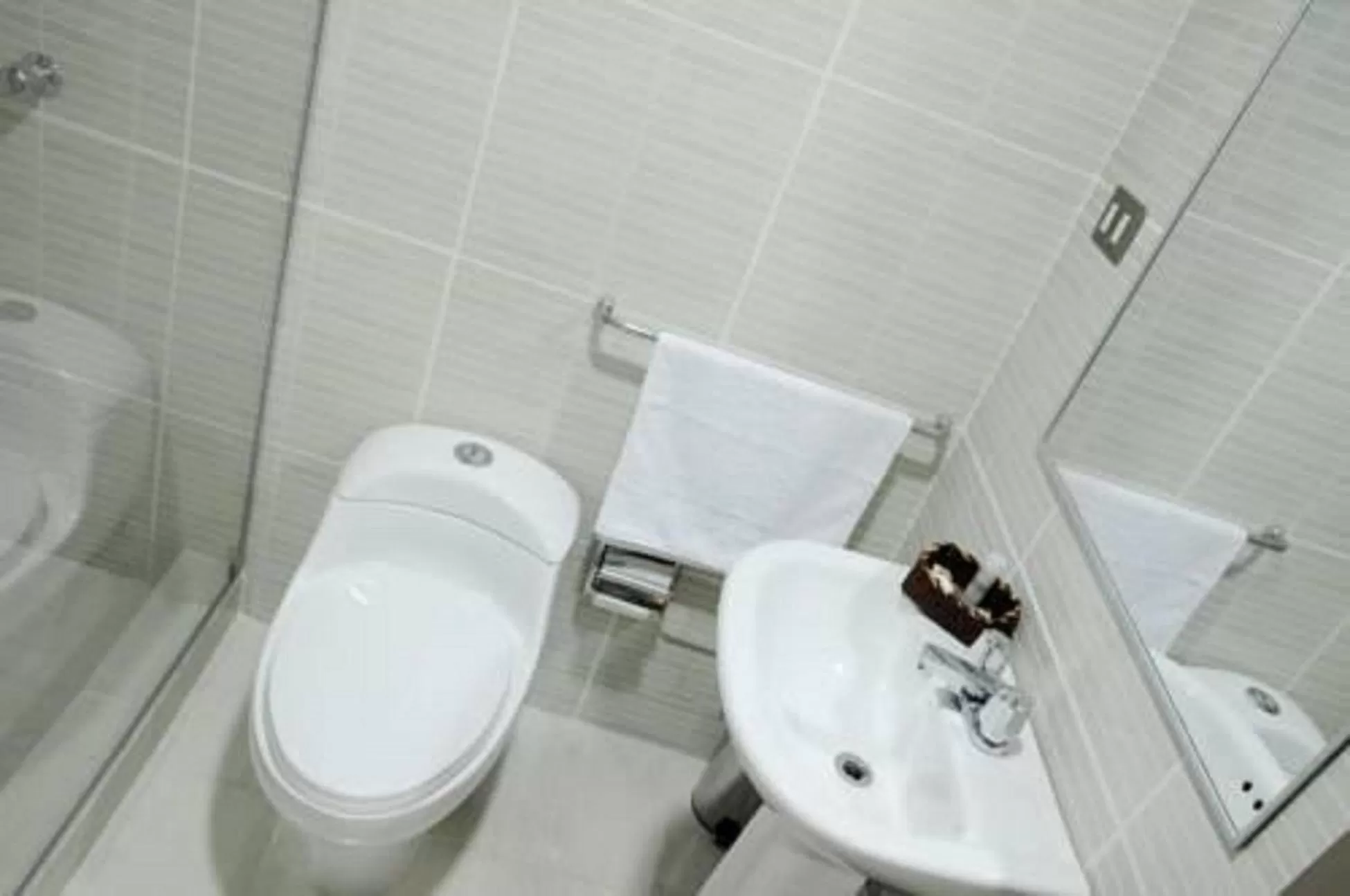 Toilet in Houseboat Zaindari Palace