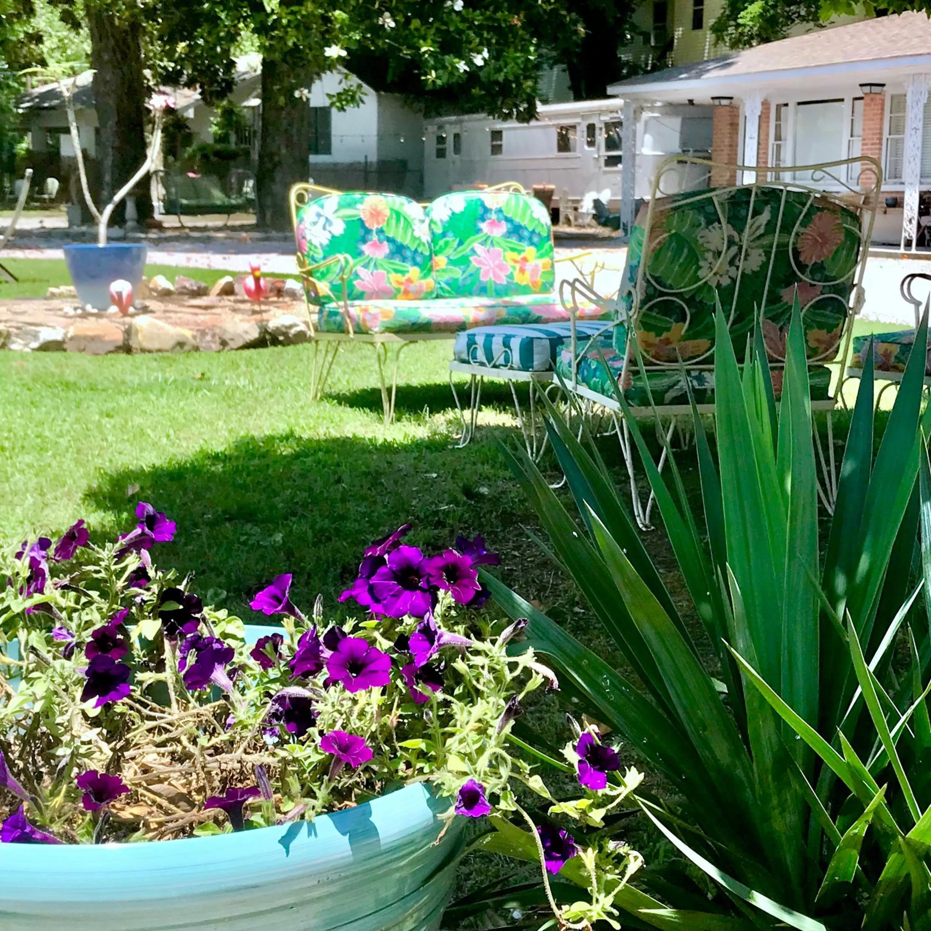 Swimming Pool in Dame Fortune's Cottage Court