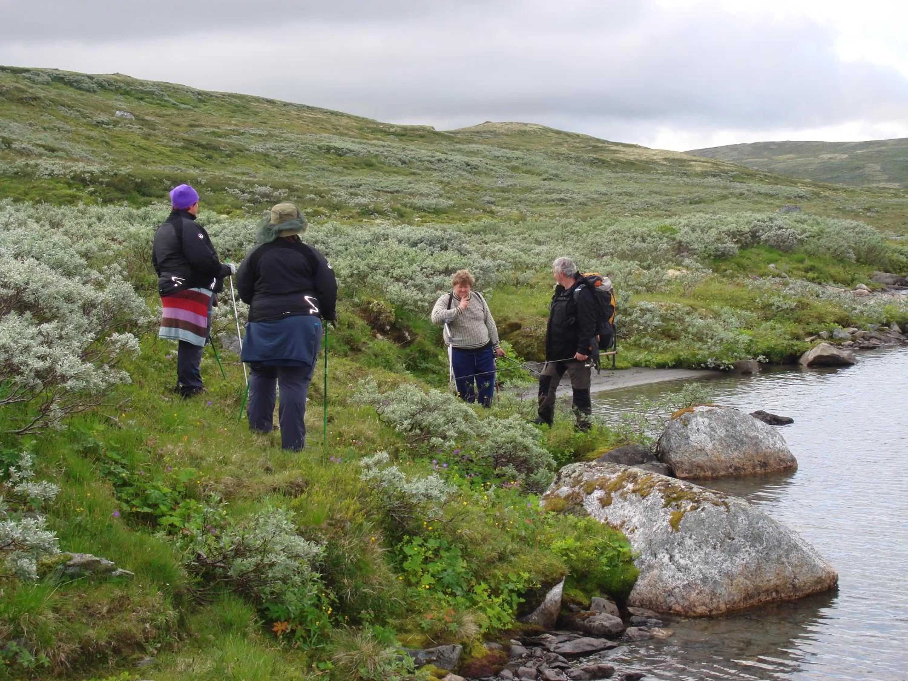 Hiking in Unicare Røros Gjesteovernatting