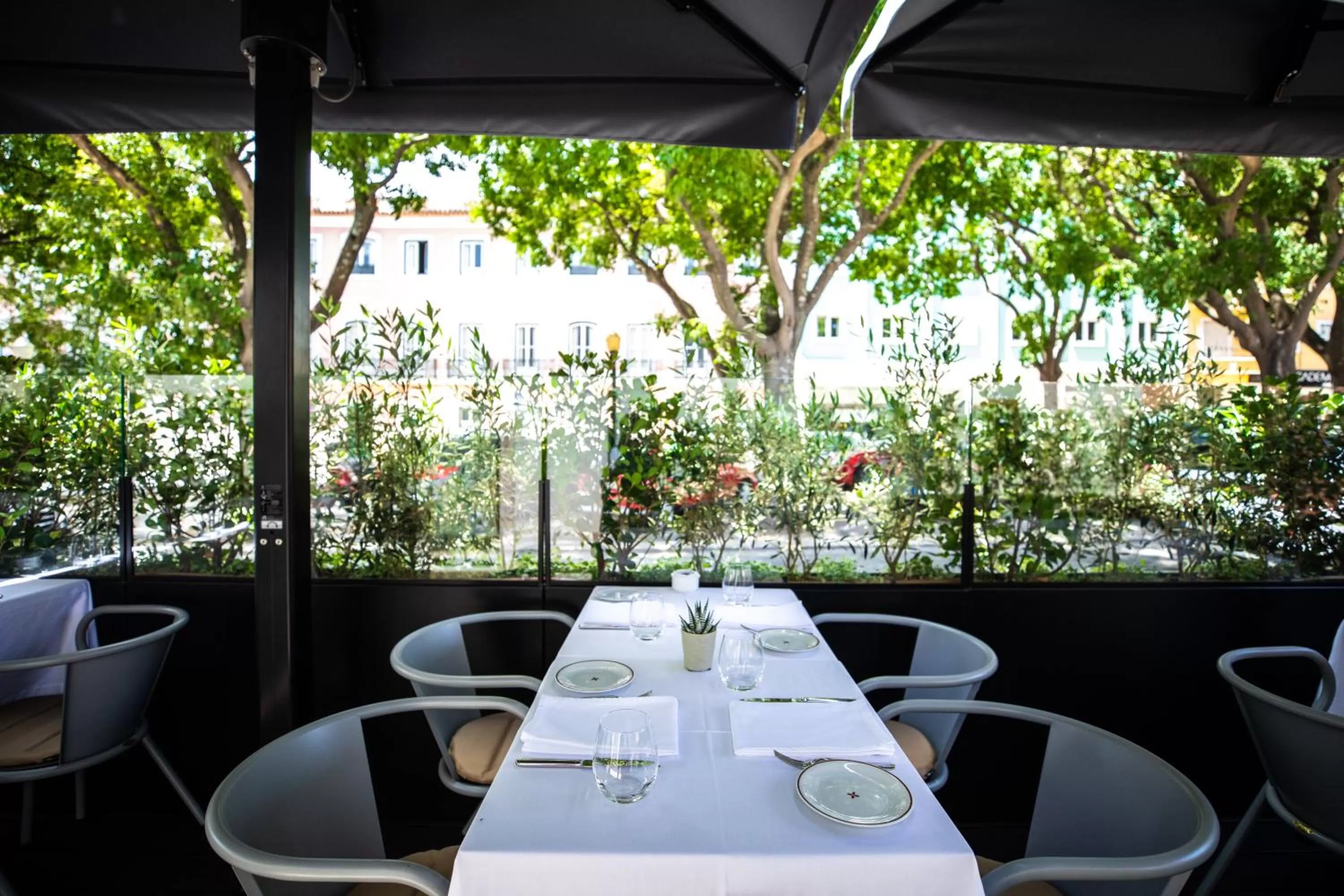 Restaurant/places to eat in Sublime Lisboa