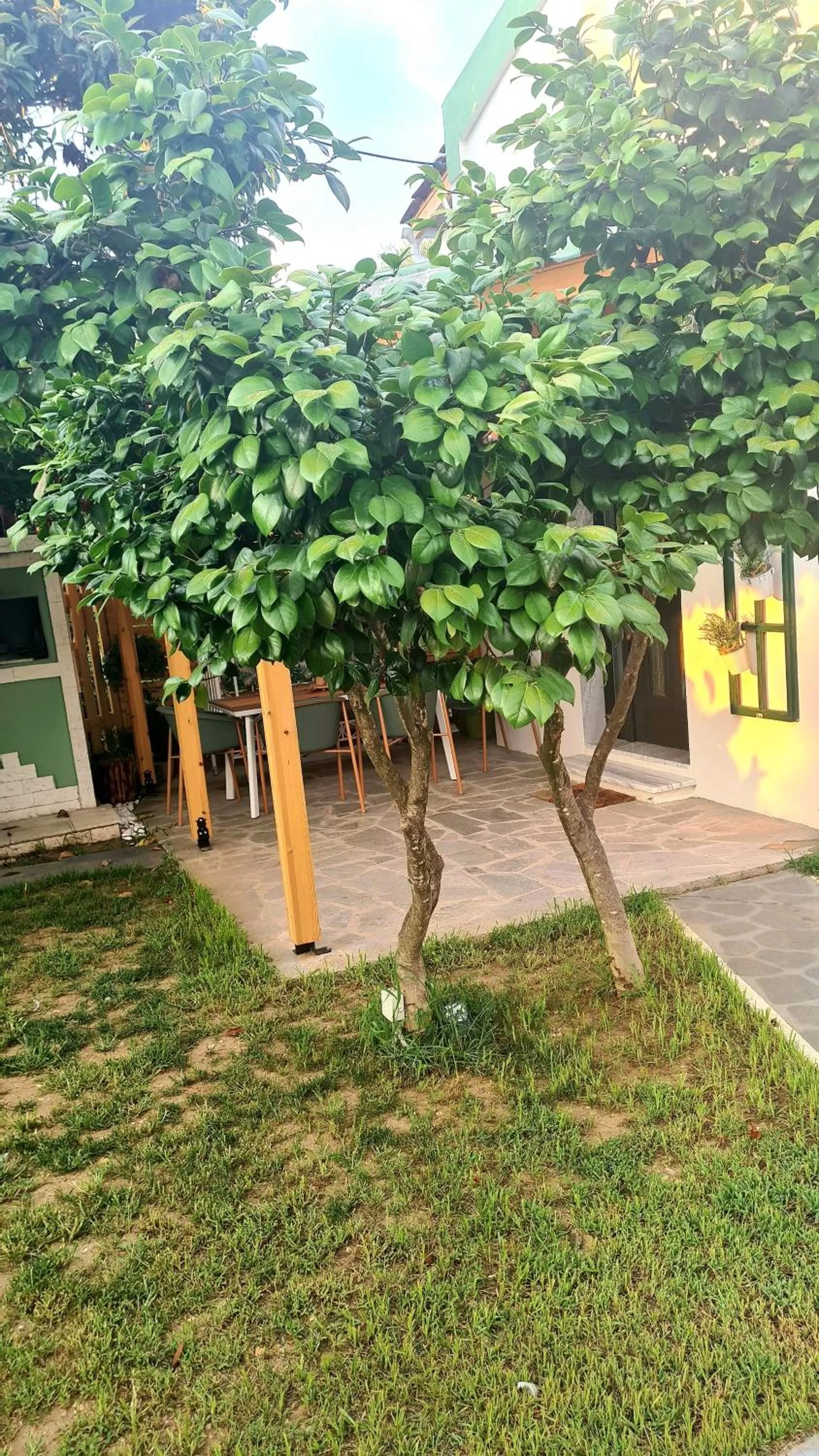 Lamprini's Deluxe Studios