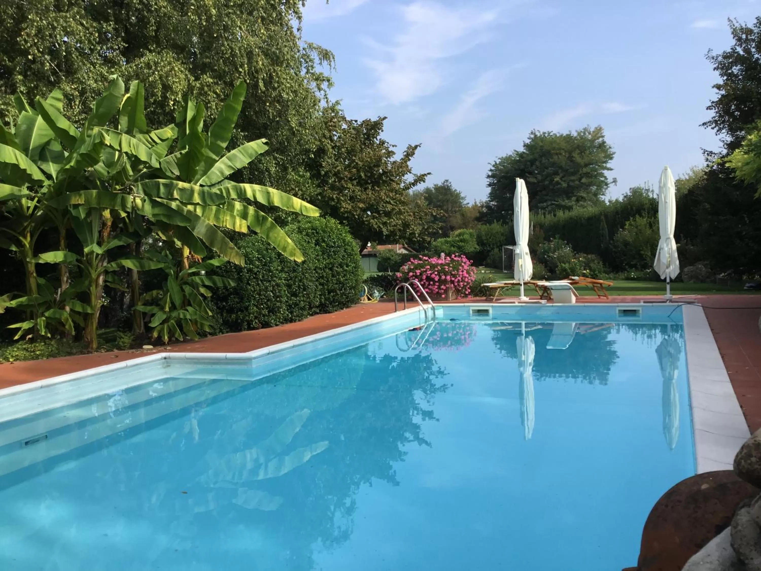 Swimming pool in La Pergola B&B