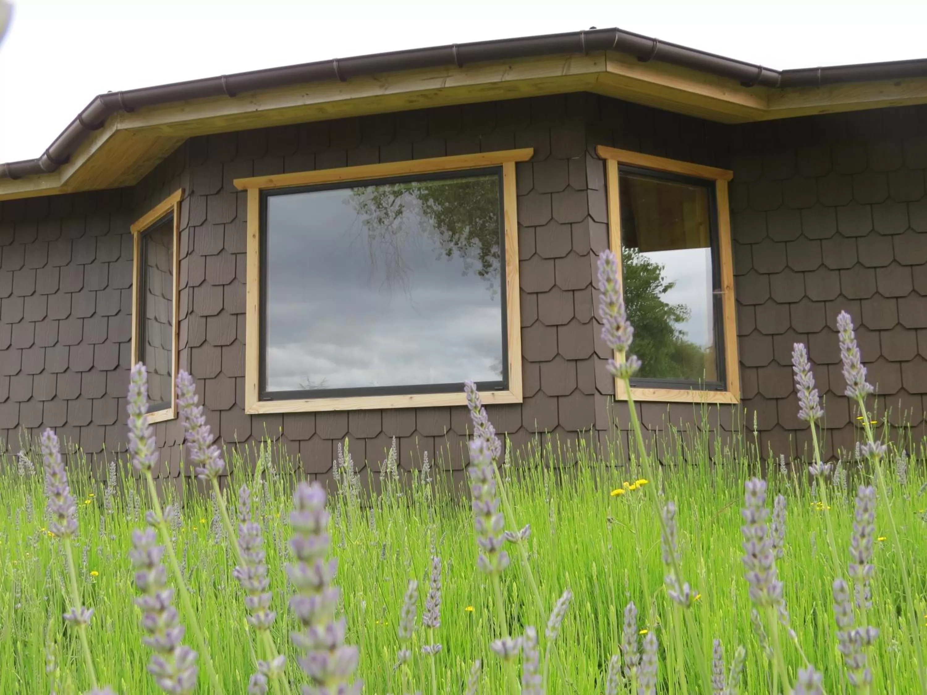 Property Building in Hostal Zapato Amarillo