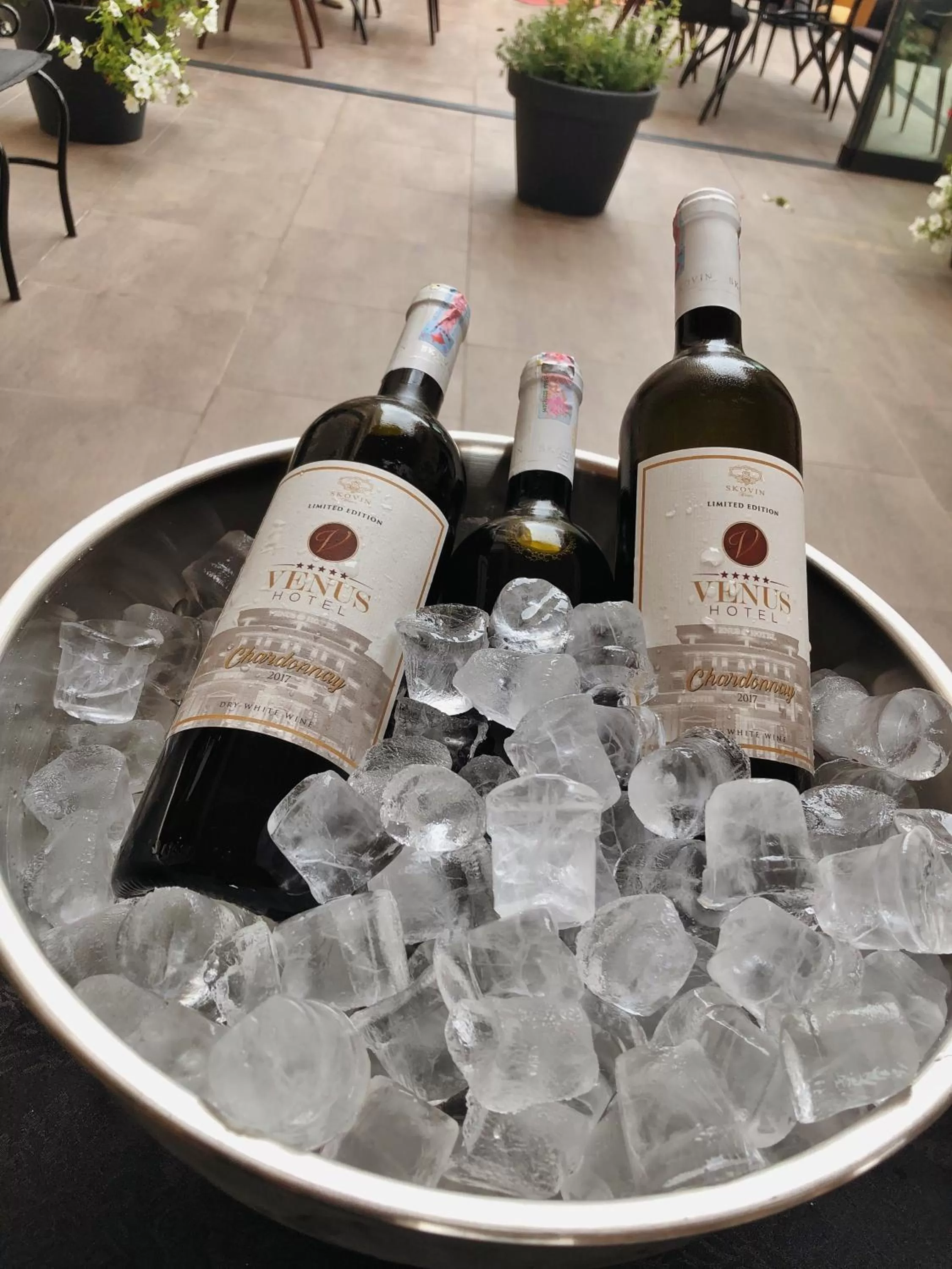 Drinks in Venus Hotel