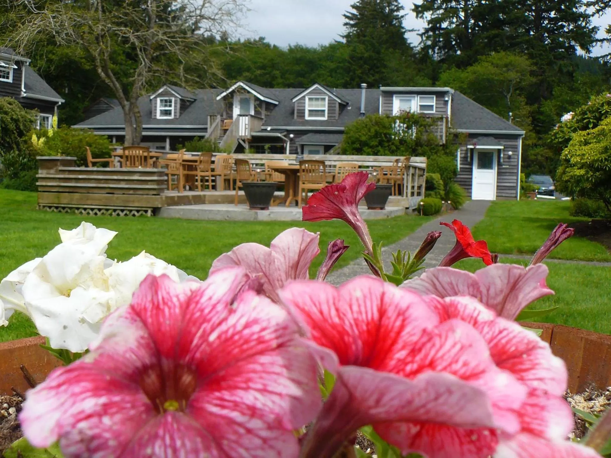 Garden, Property Building in Ecola Creek Lodge