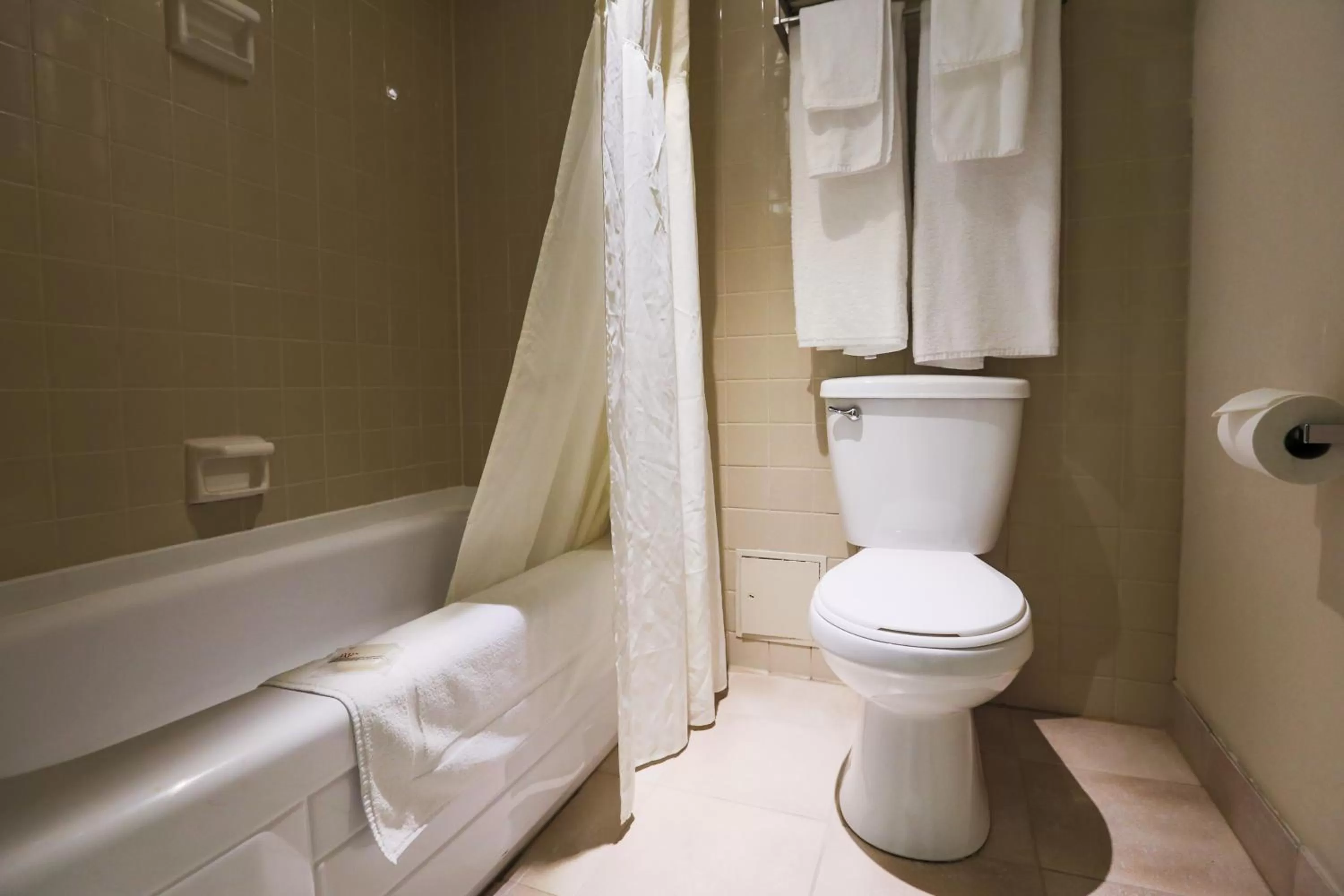 Toilet in Hôtels Gouverneur Trois-Rivières