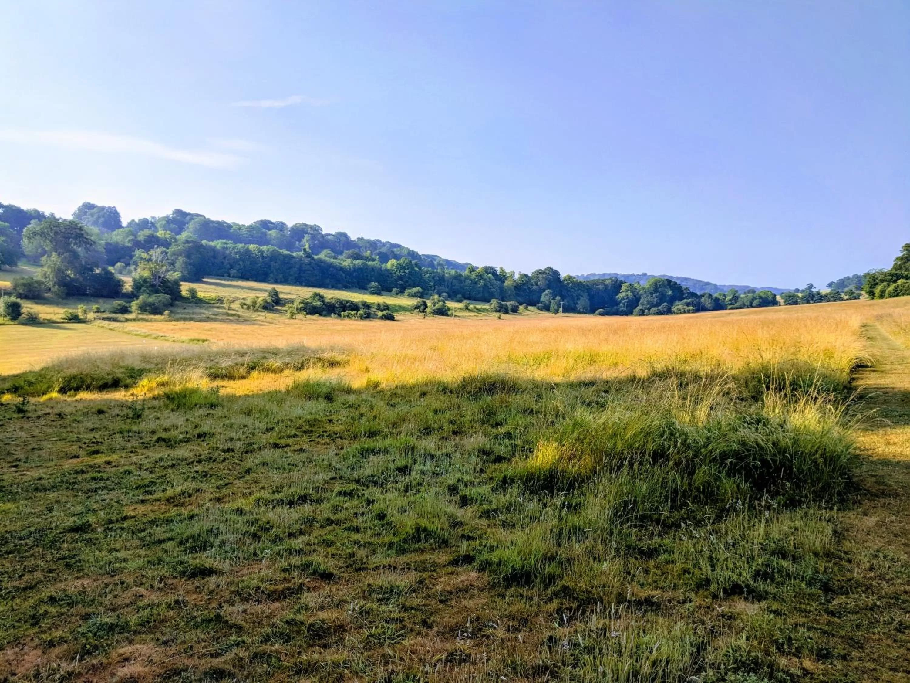 Activities in Broome Park Hotel