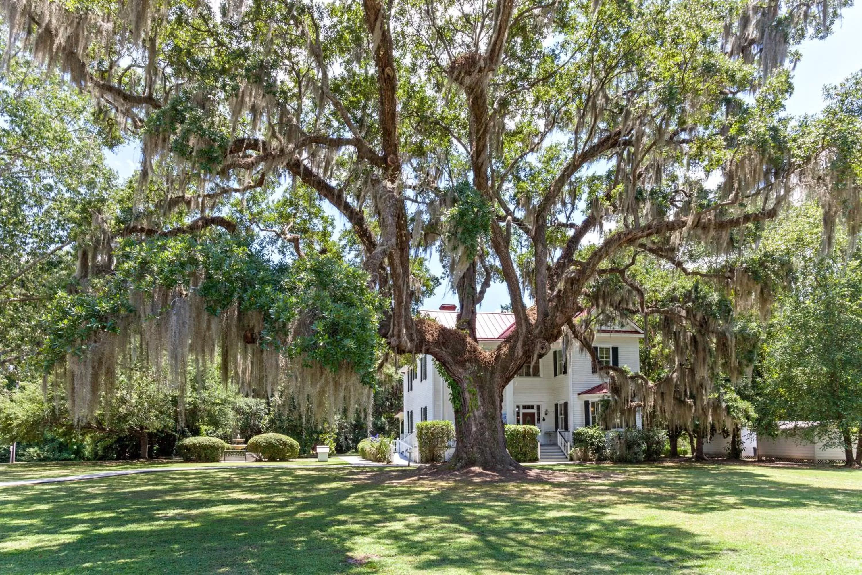 Knights Inn Point South Yemassee