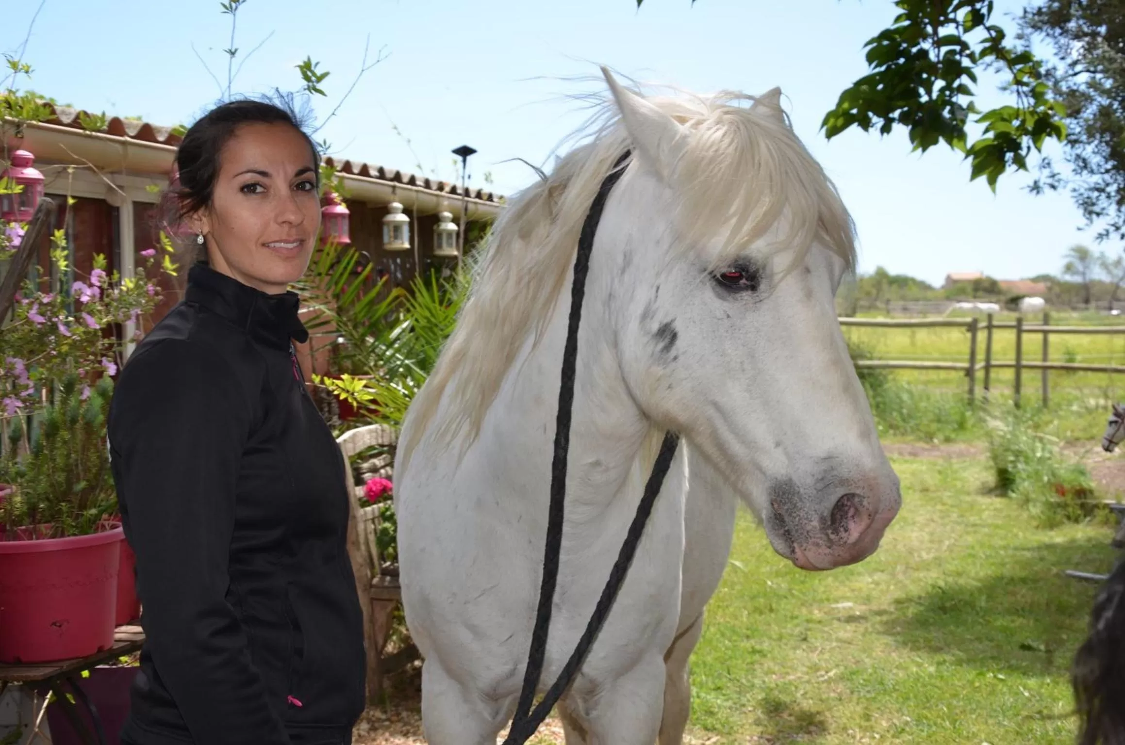 Horse-riding in Gites Chambres d'hotes Mazet du Maréchal Ferrant