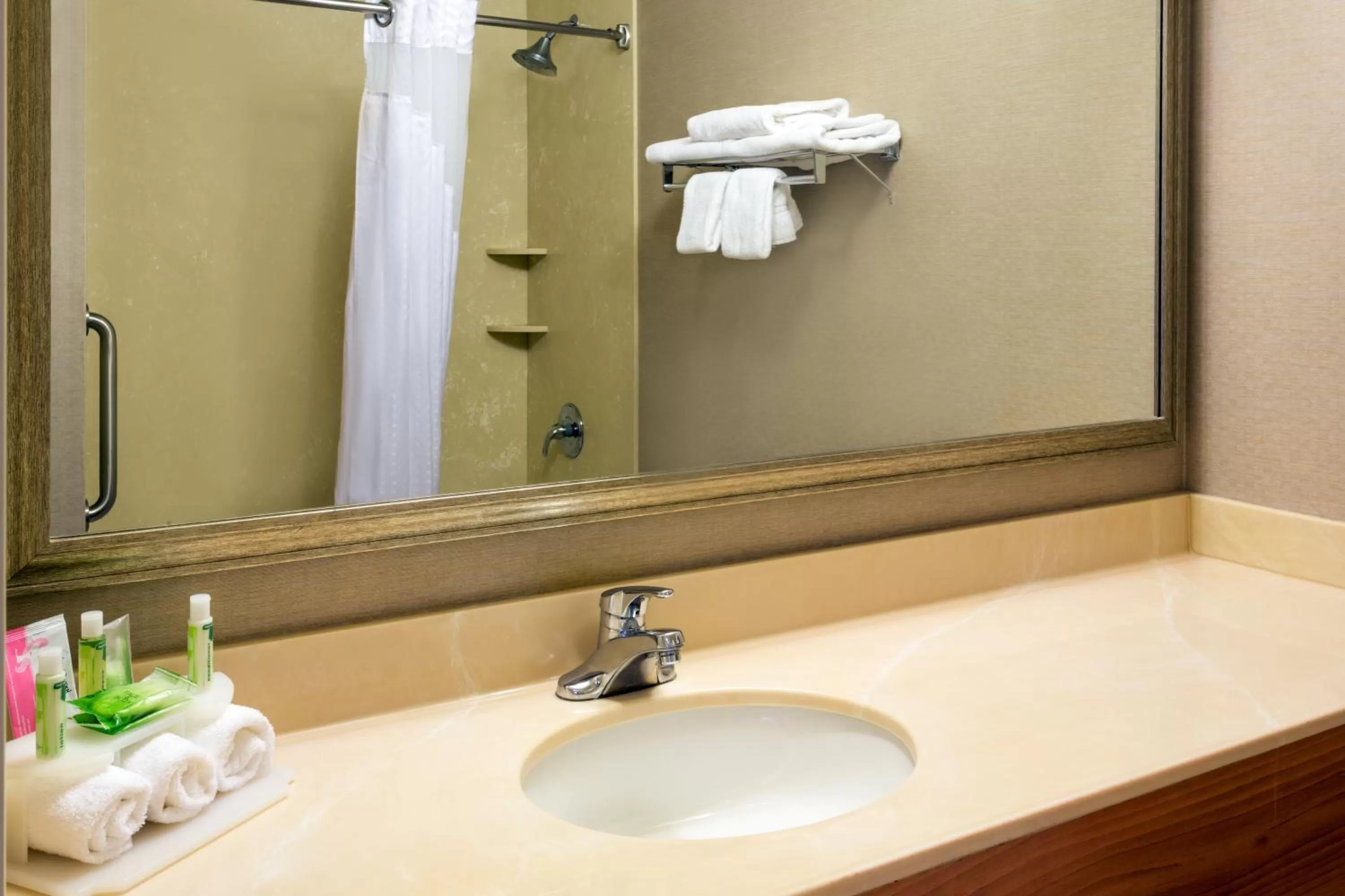 Bathroom in Holiday Inn Express Grants Pass by IHG