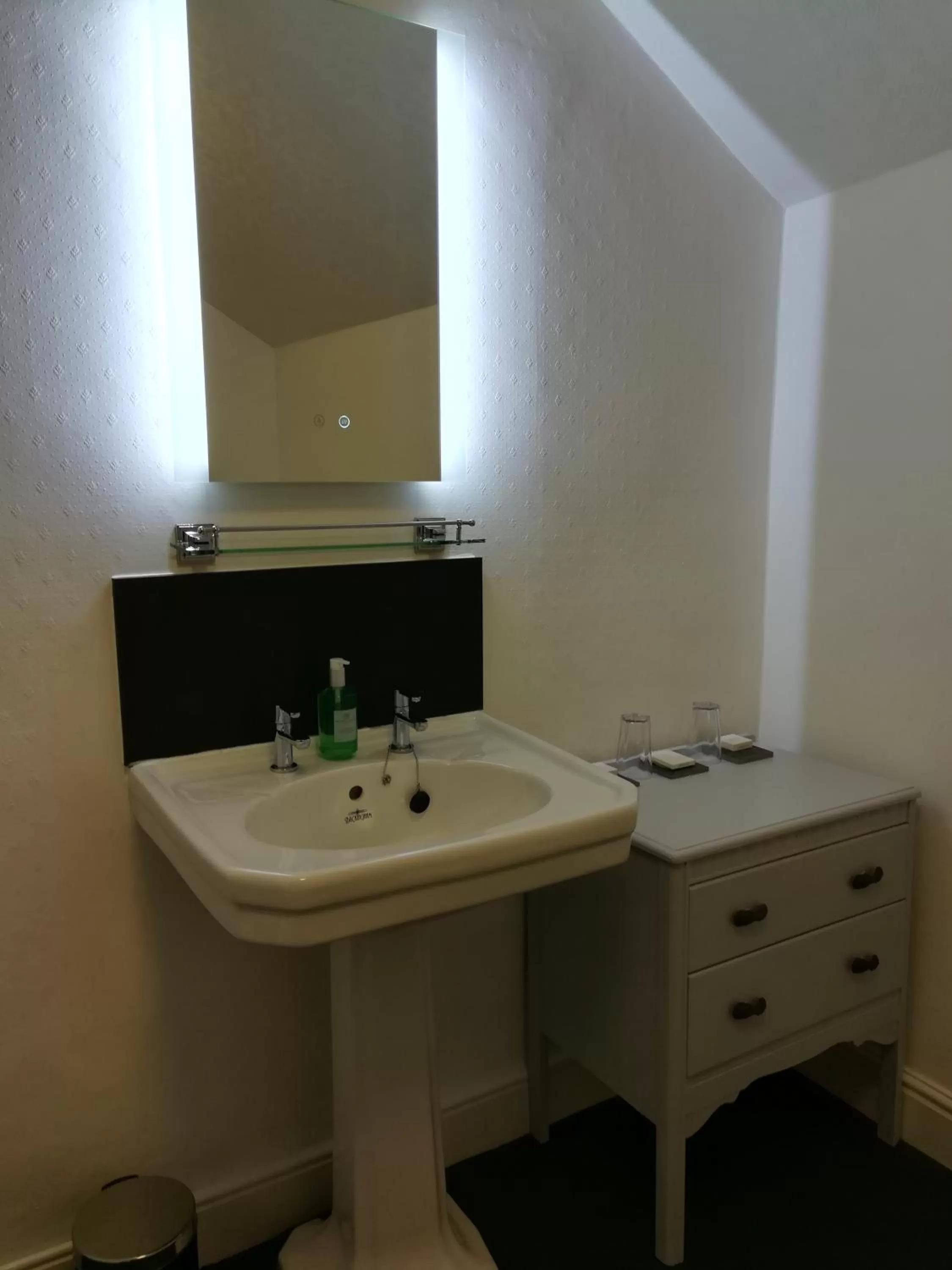 Shower in Aberconwy House B&B