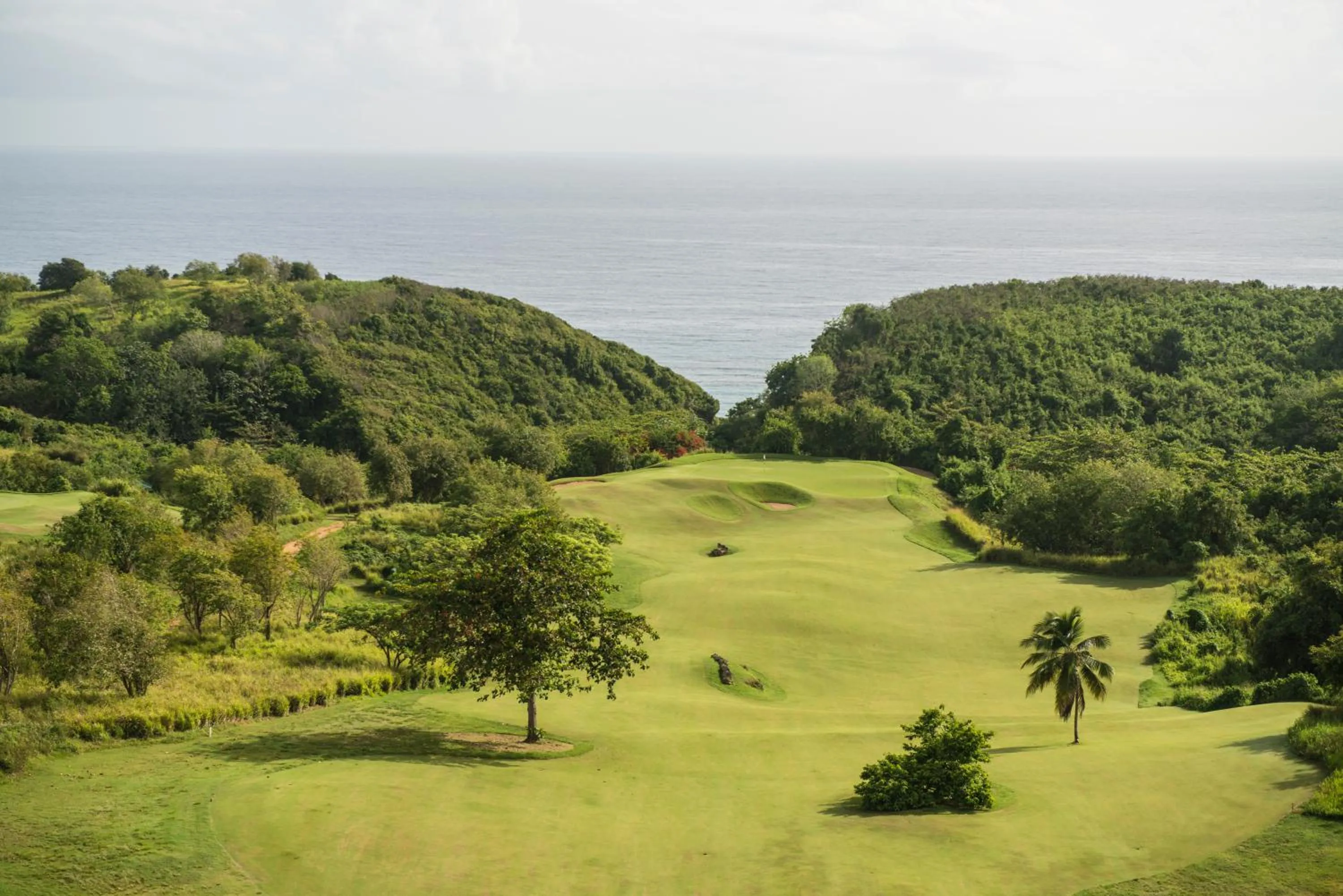 Day in Royal Isabela