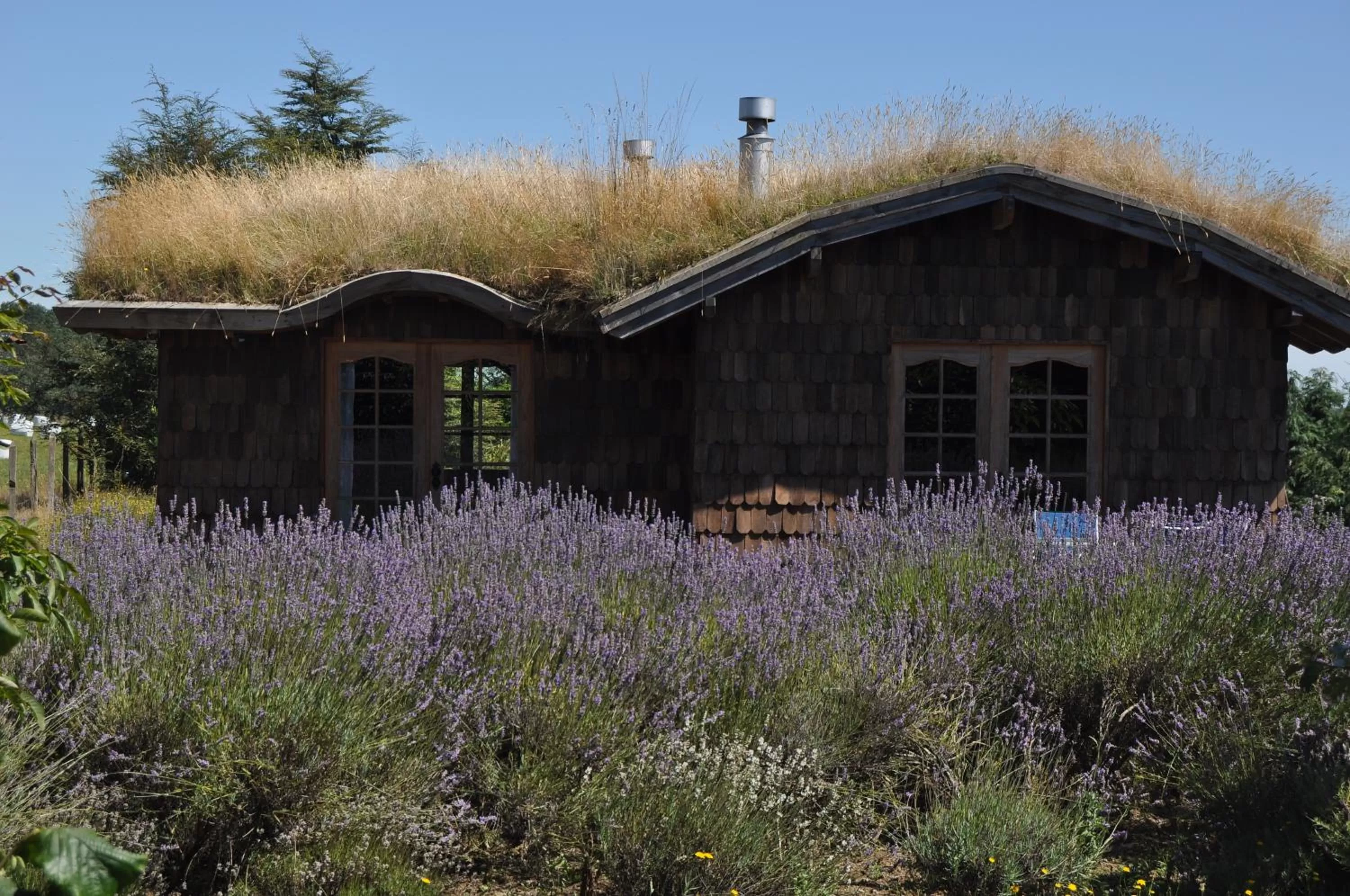 Facade/entrance, Property Building in Hostal Zapato Amarillo