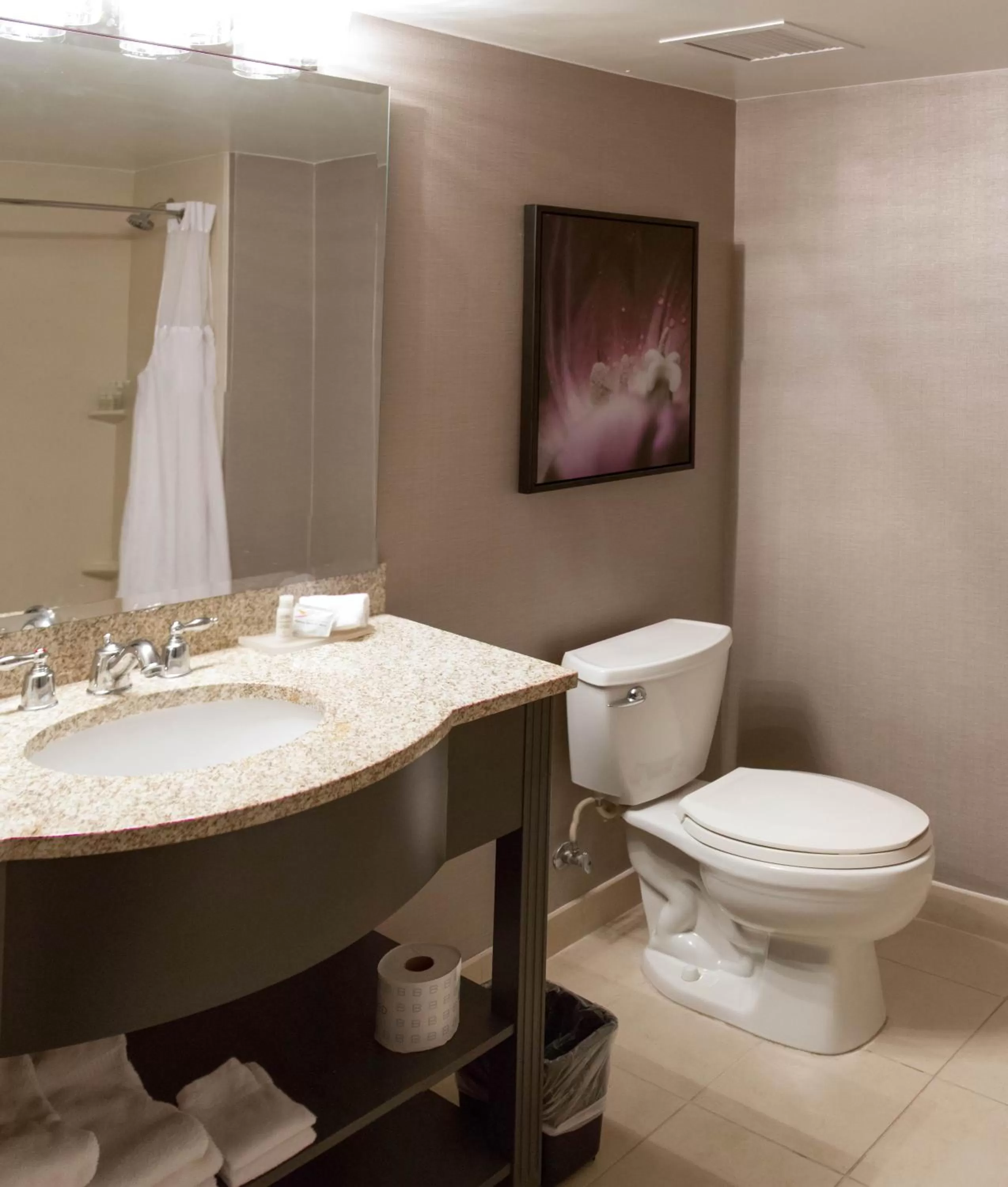 Bathroom in TRYP by Wyndham Savannah