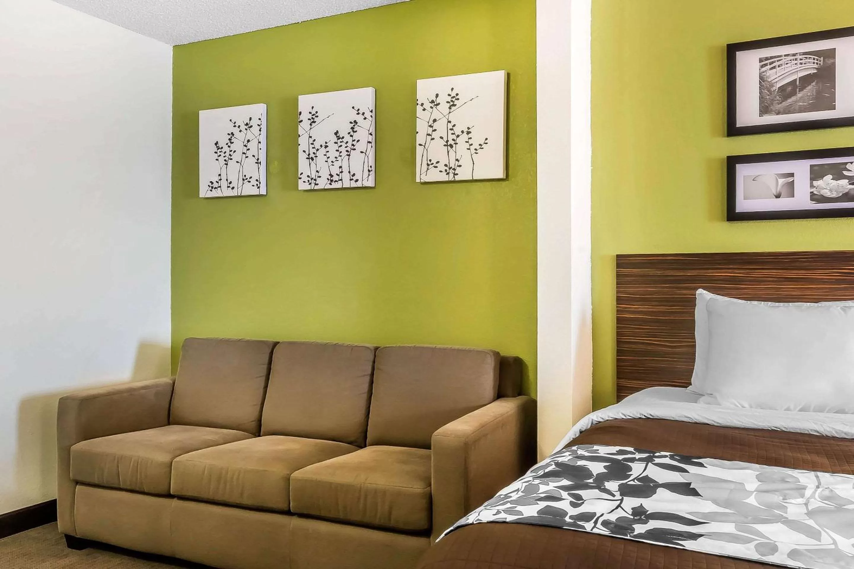 Photo of the whole room, Bed in Sleep Inn & Suites Dothan North