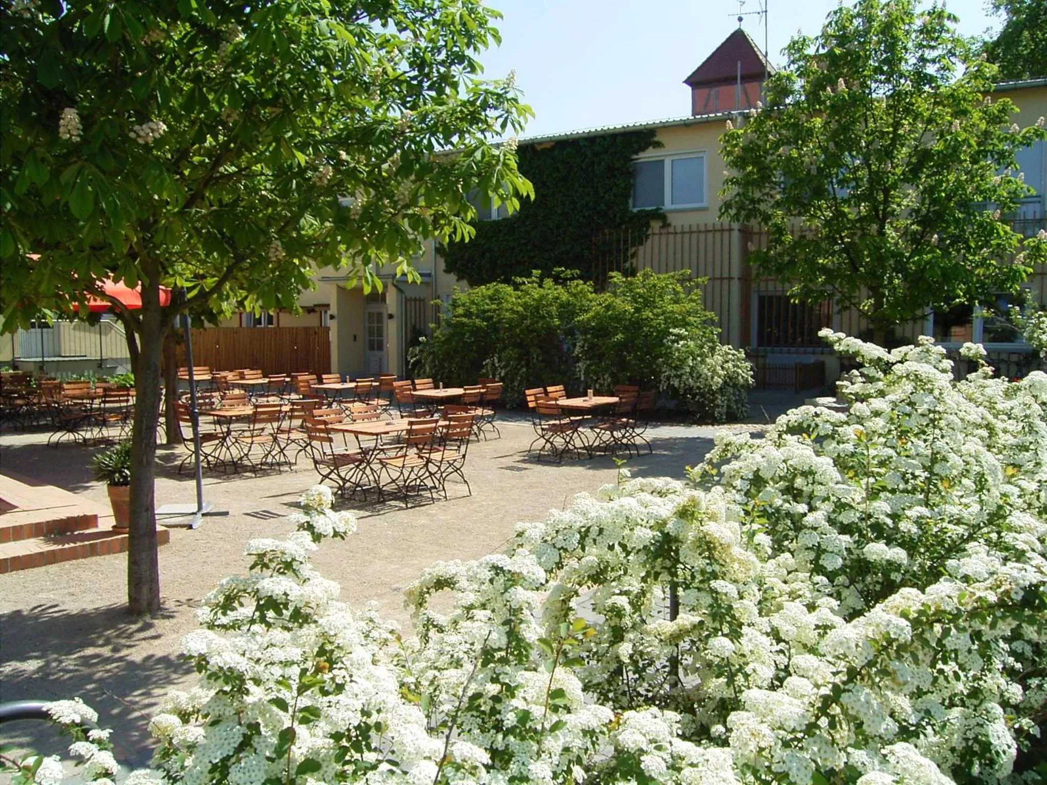 Patio in Zum Rittmeister