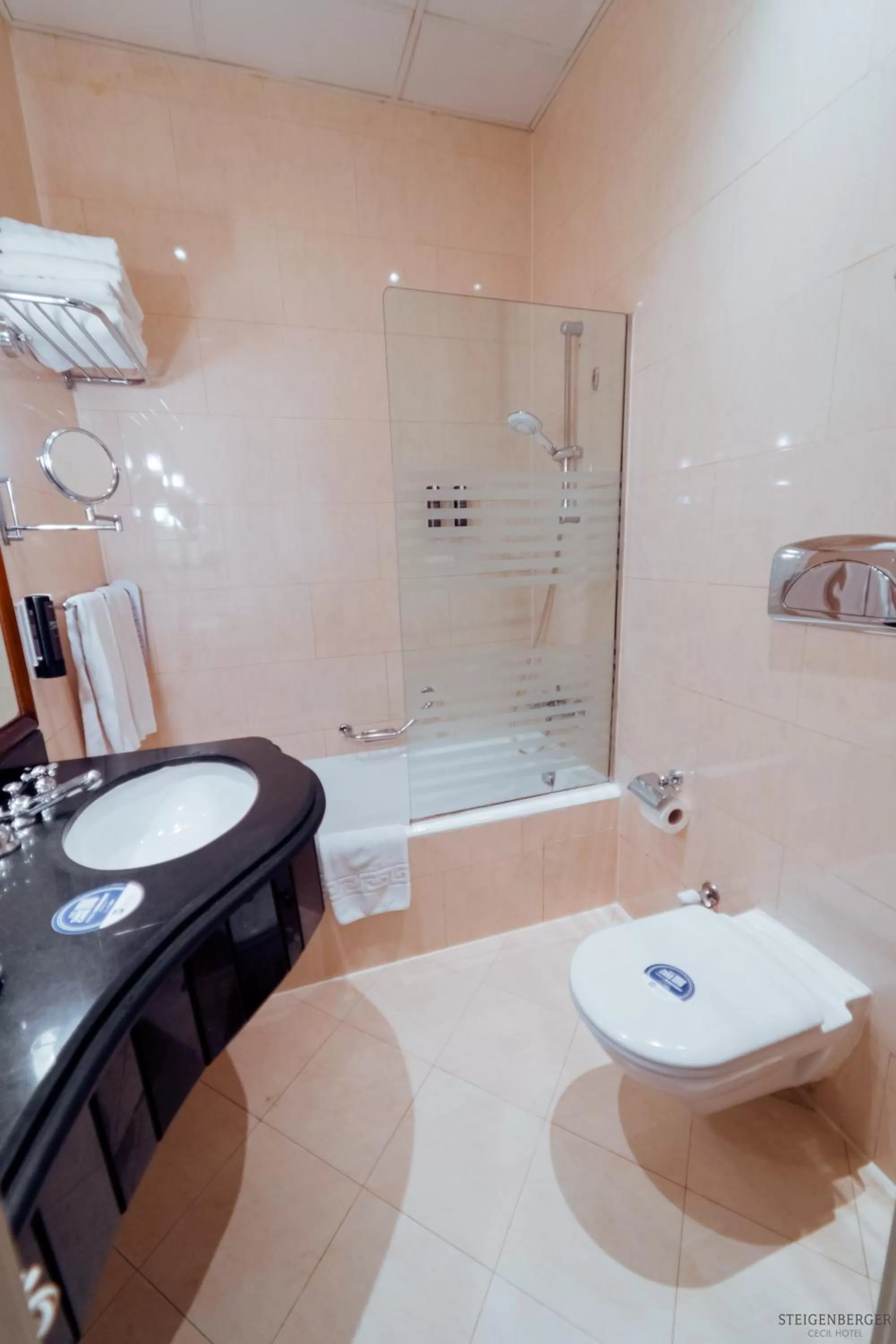 Bathroom in Steigenberger Cecil Hotel Alexandria