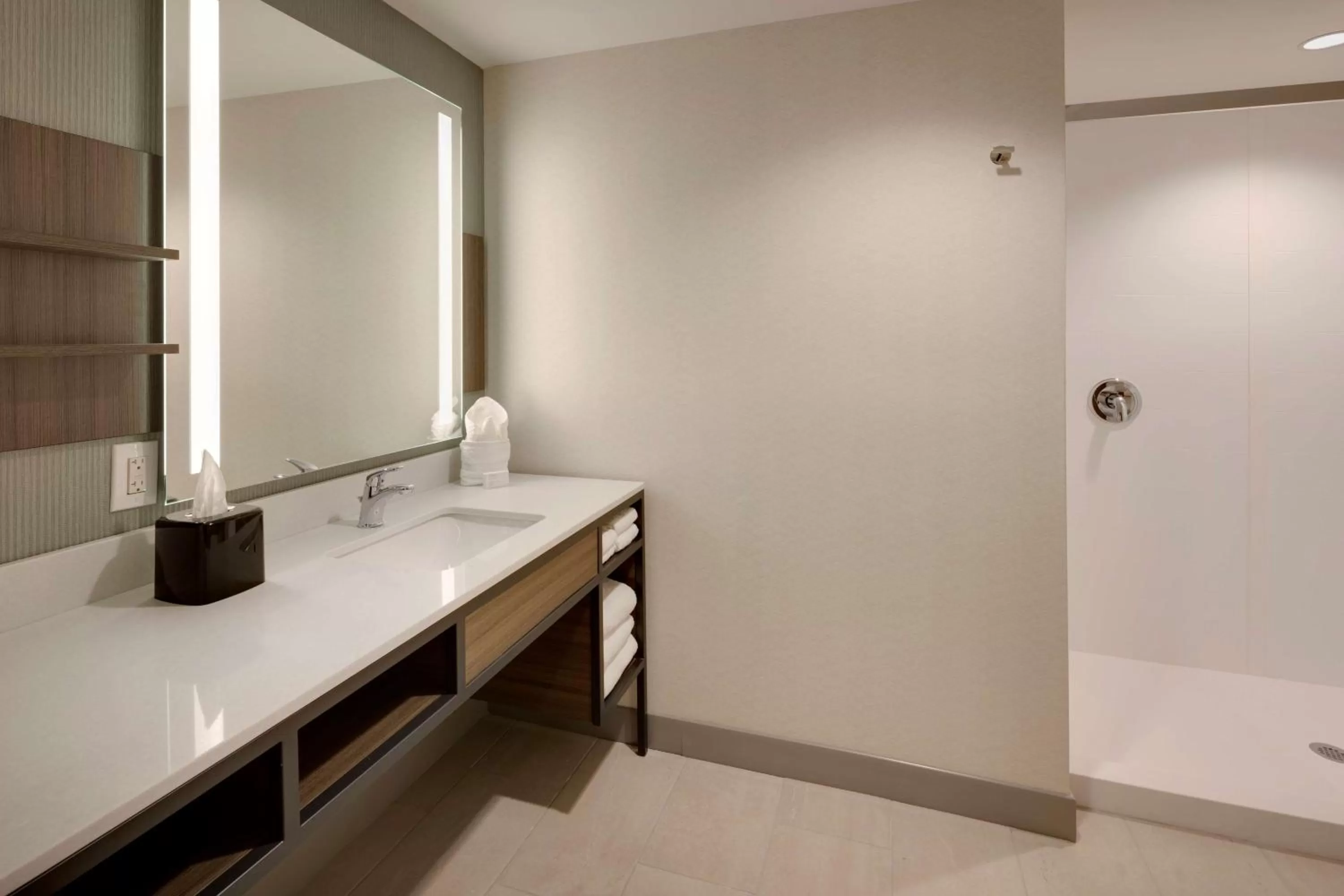 Bathroom in Hilton Garden Inn Haymarket