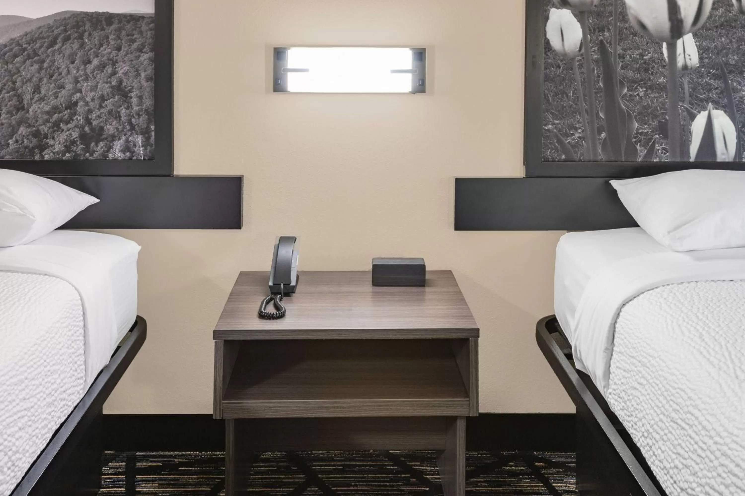 Photo of the whole room, Bed in Super 8 by Wyndham Charlottesville