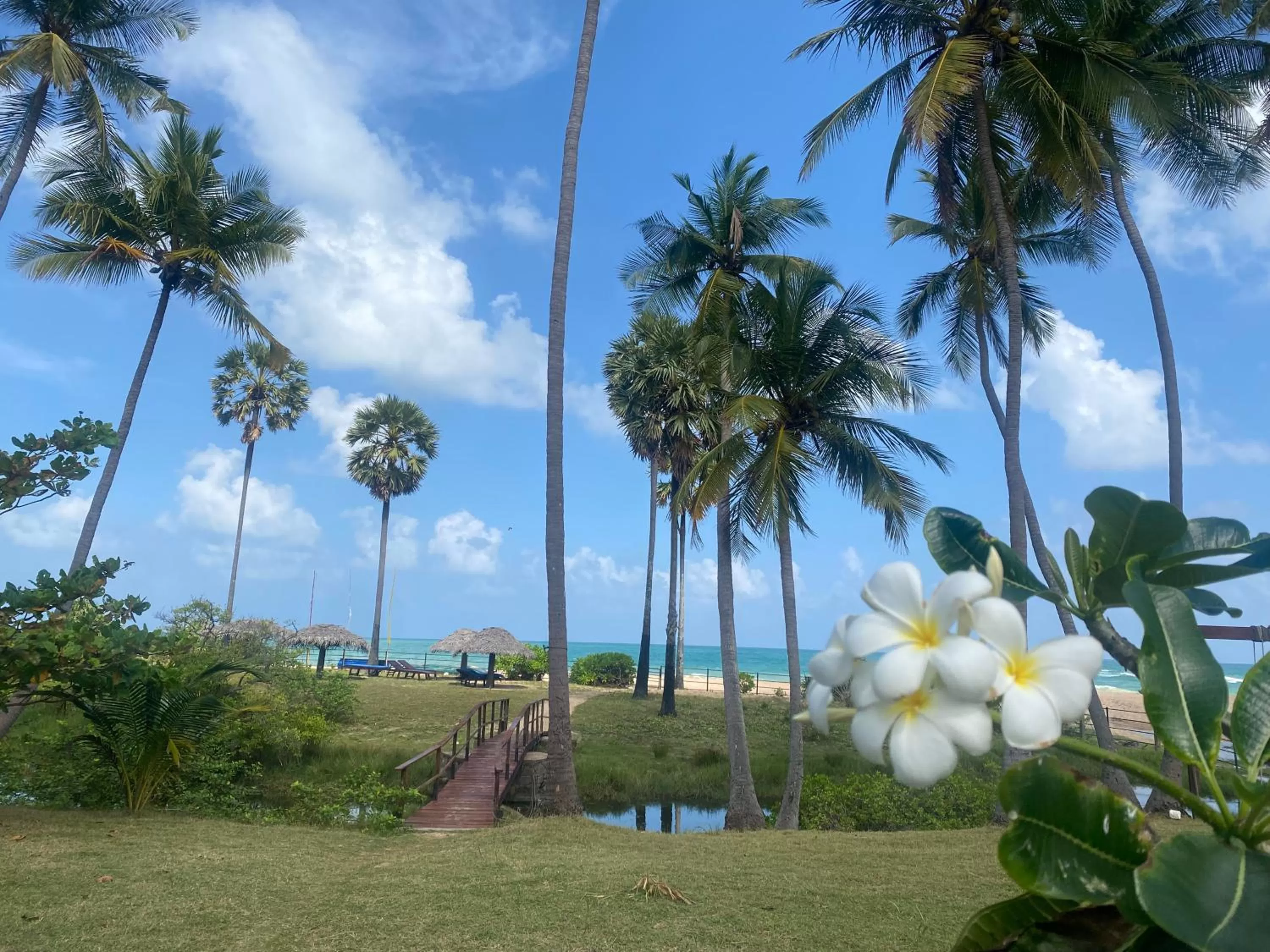 Nearby landmark, Garden in 108 Palms Beach Resort