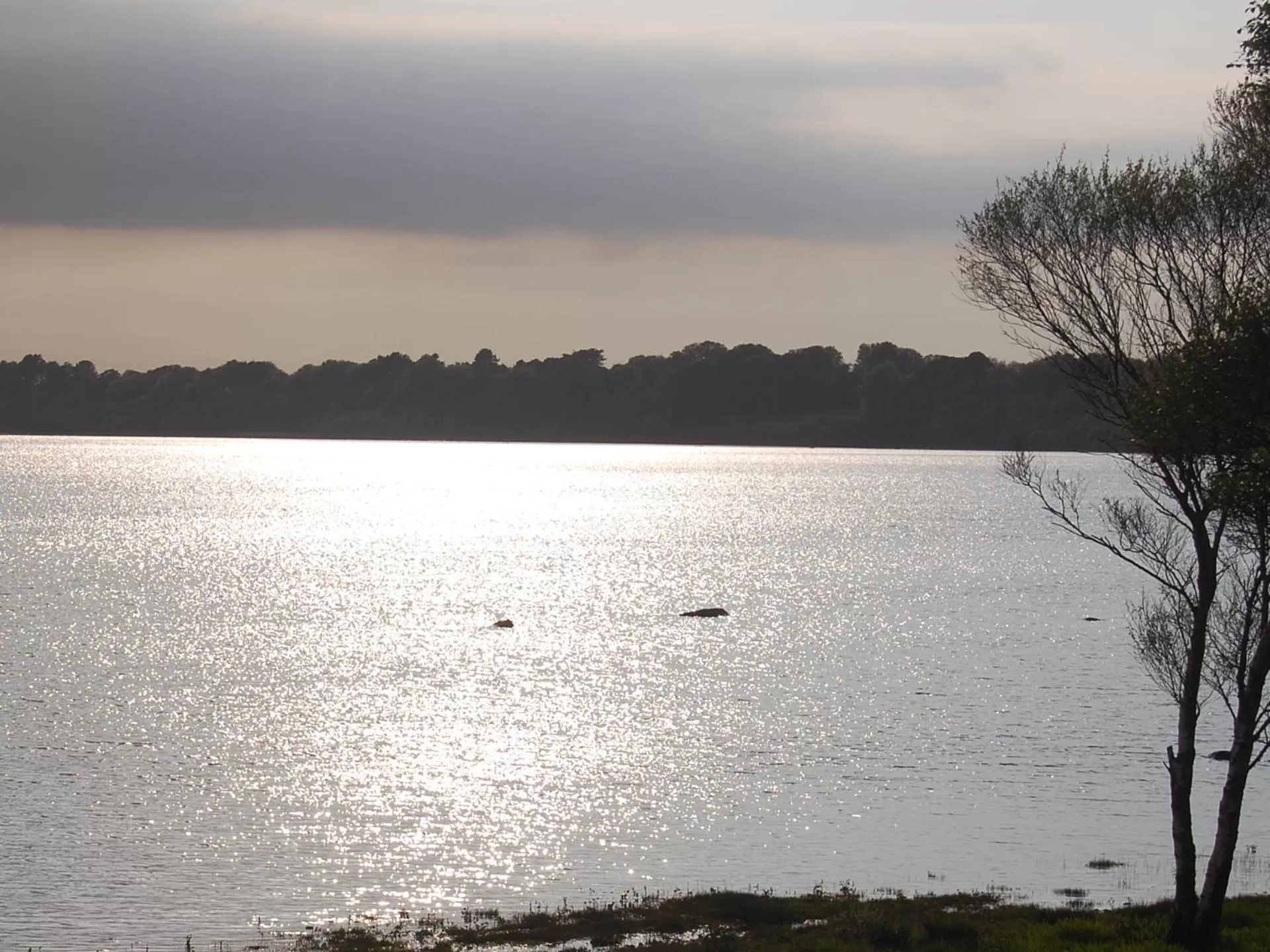 Area and facilities in Crystal Springs B&B