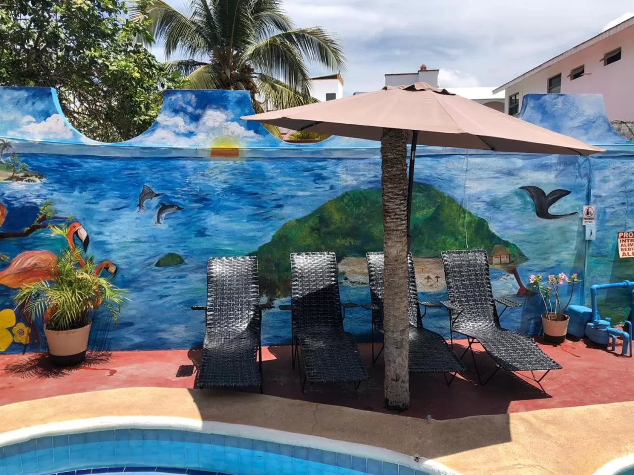 Swimming pool in Bungalows Flamingos