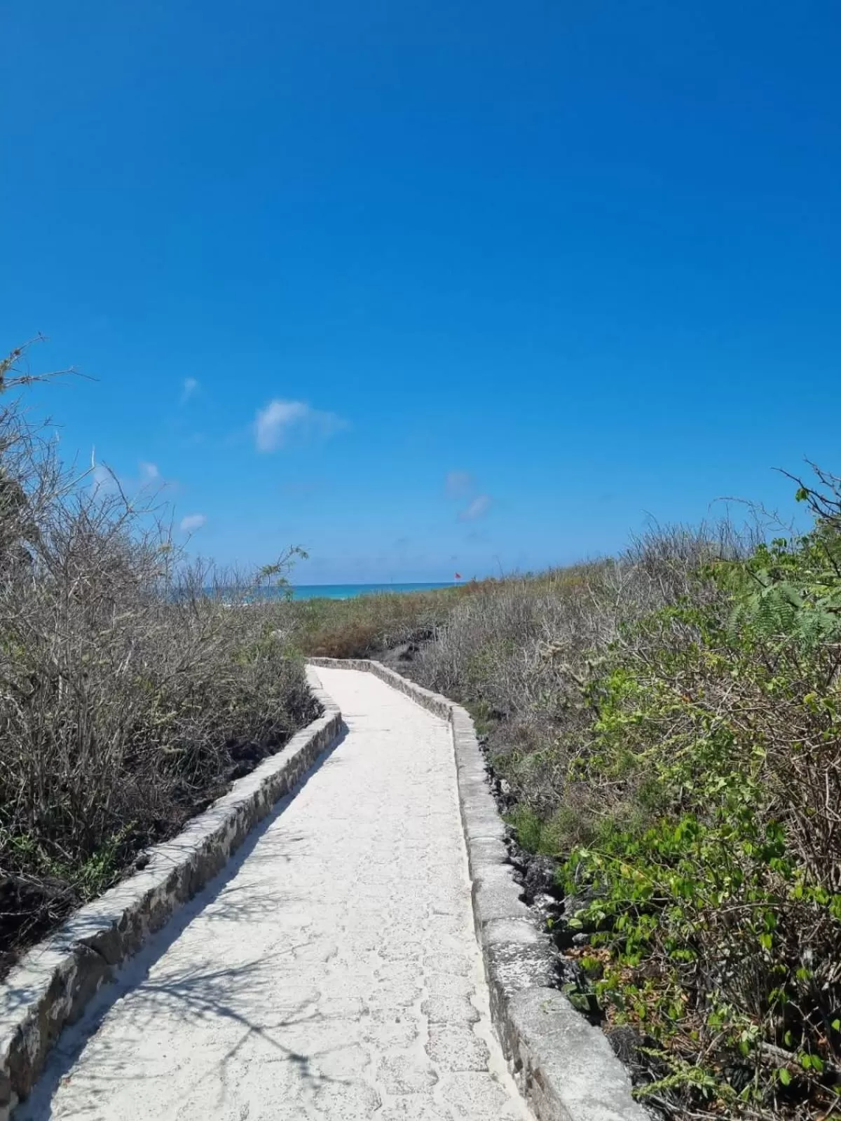 Natural landscape in Patty House Galapagos