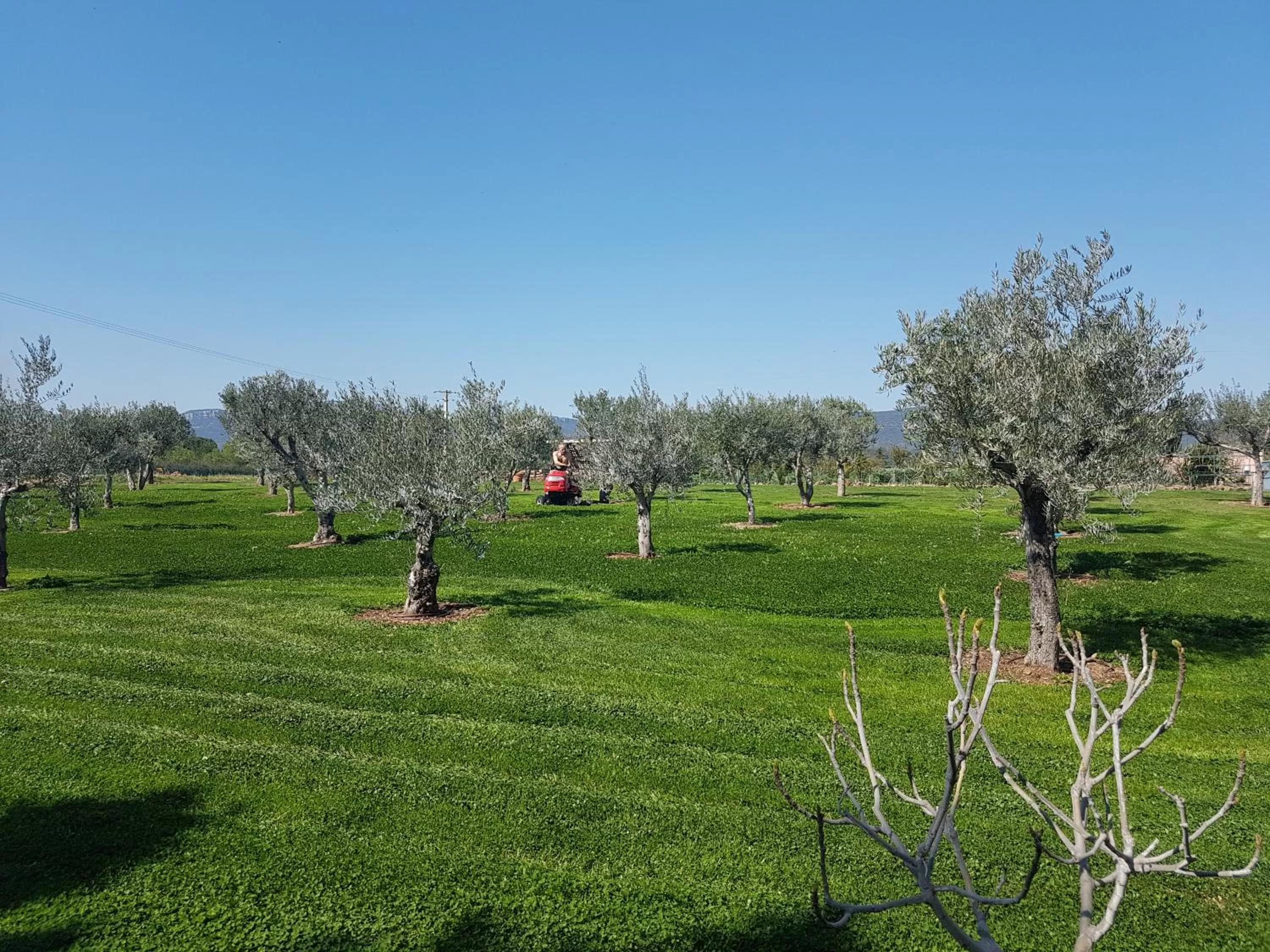 Natural landscape in Le Mas du Lingousto