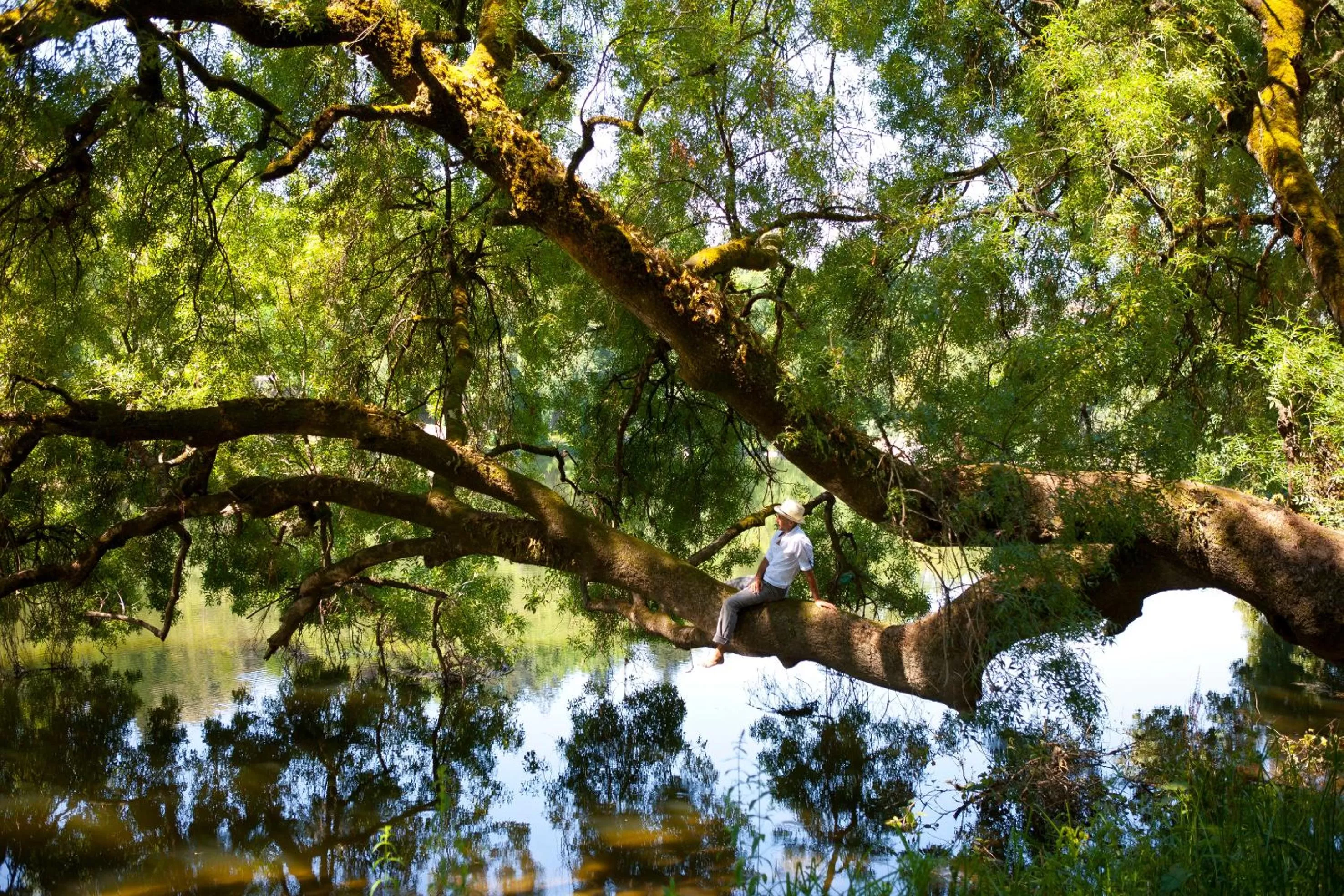 Nearby landmark in Hotel Navarras