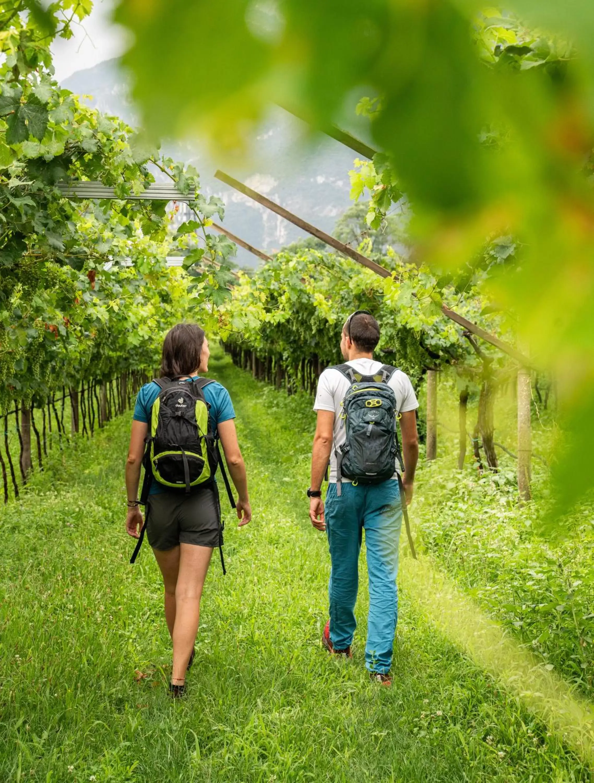 Hotel Rudy Hotel Rudy