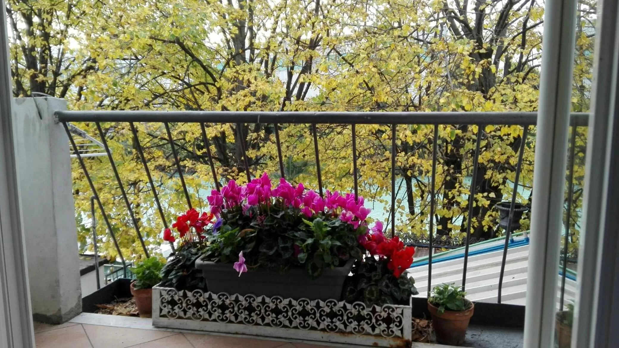 Balcony/Terrace in Villa Fiorita