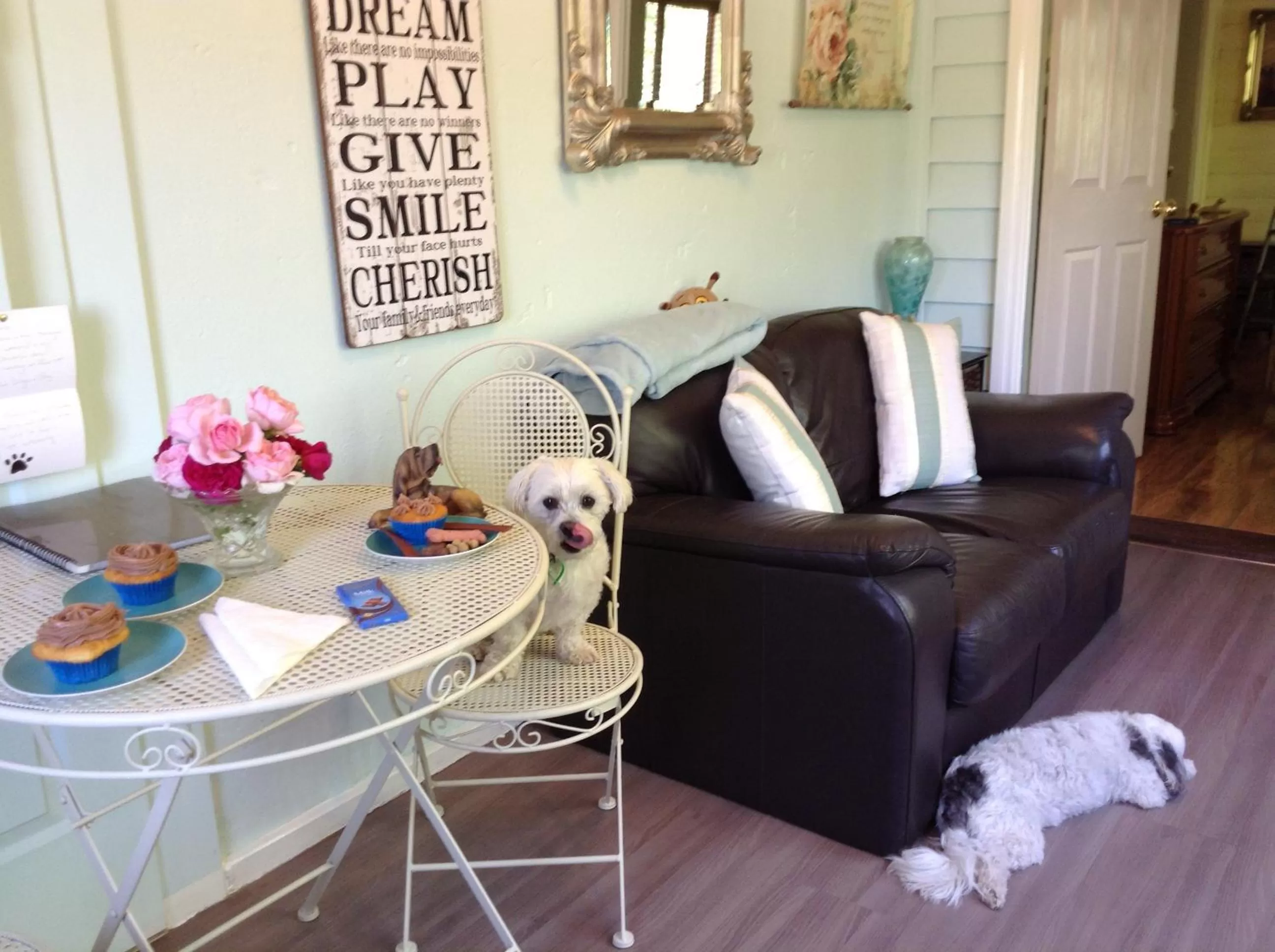 Pets in Must Love Dogs B&B & Self Contained Cottage