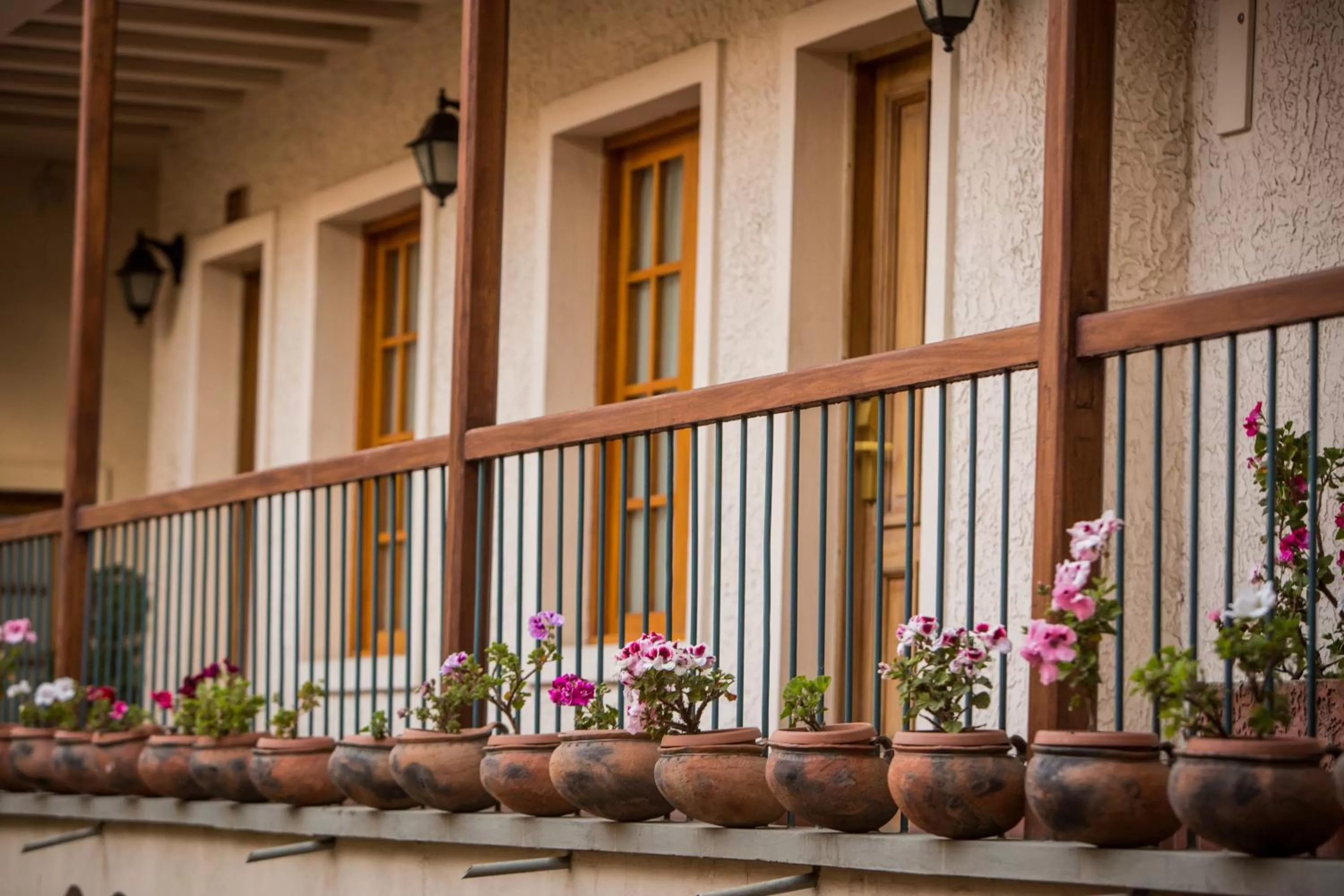 Garden in Hotel Rosario La Paz