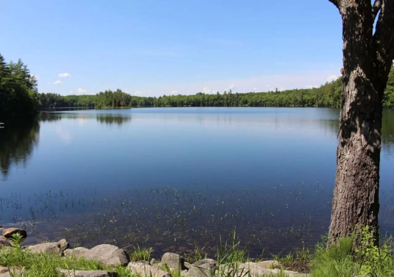 Off site in Maple Hill Farm Inn