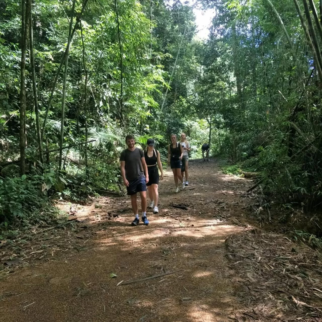 Hiking in Khao Sok River & Jungle Resort
