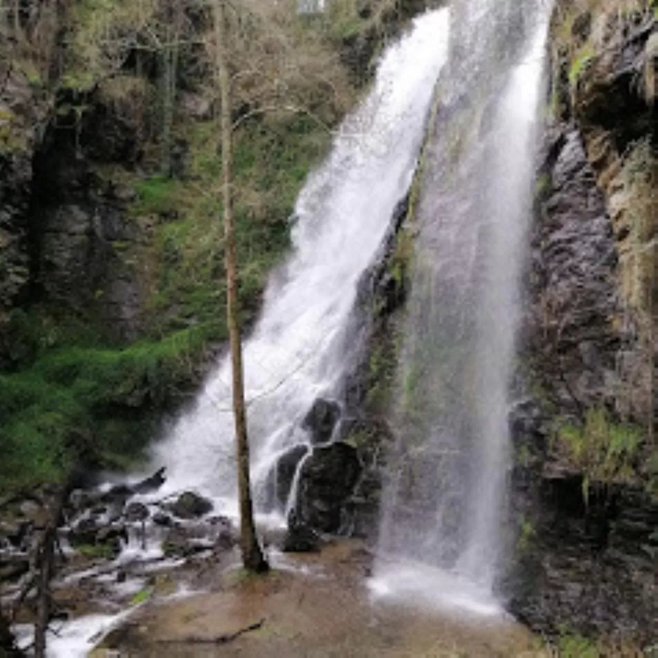 Nearby landmark in Lar da Mota Boutique Hotel