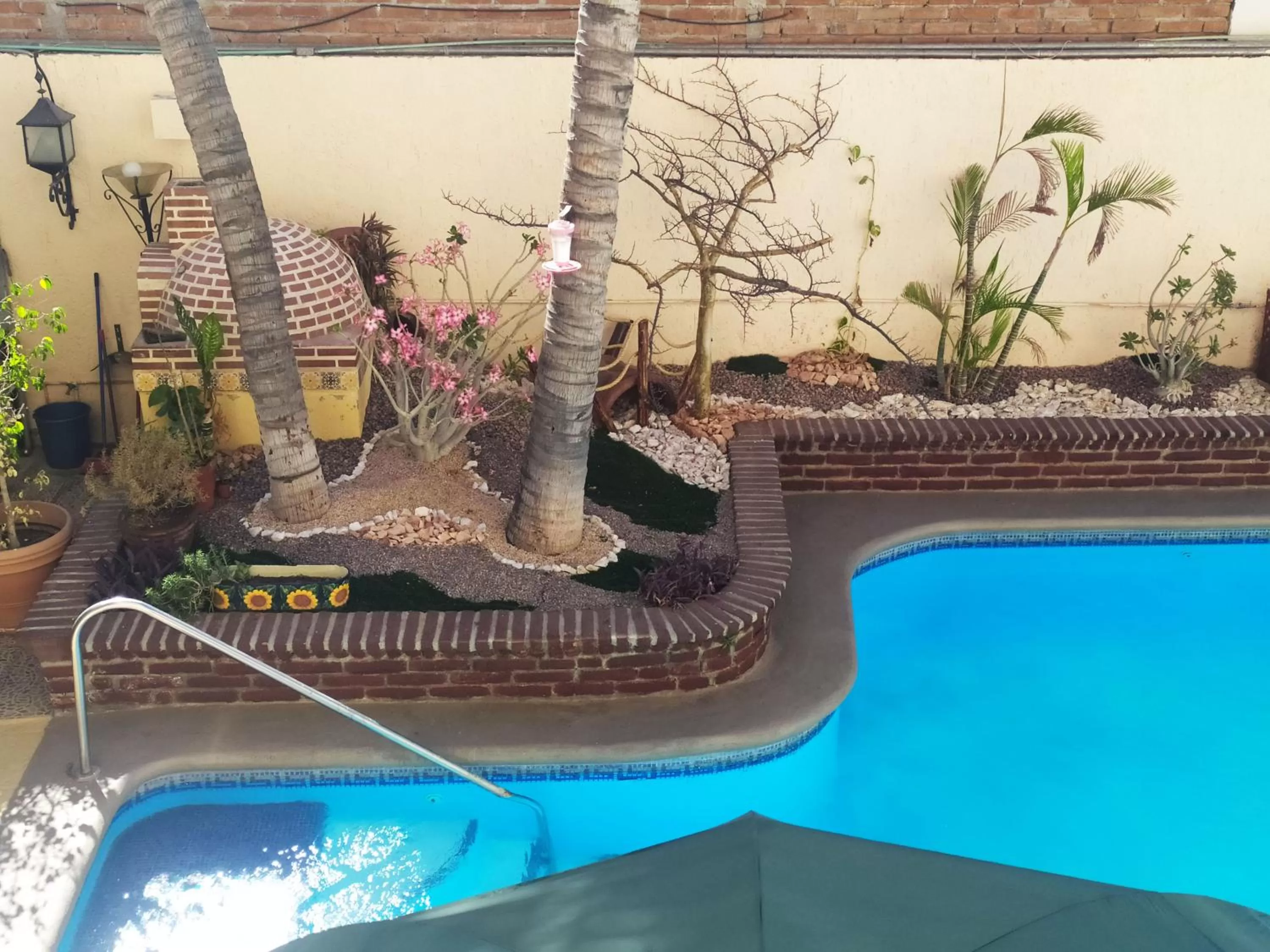 Garden in Las Gaviotas Condo-Hotel La Paz BCS