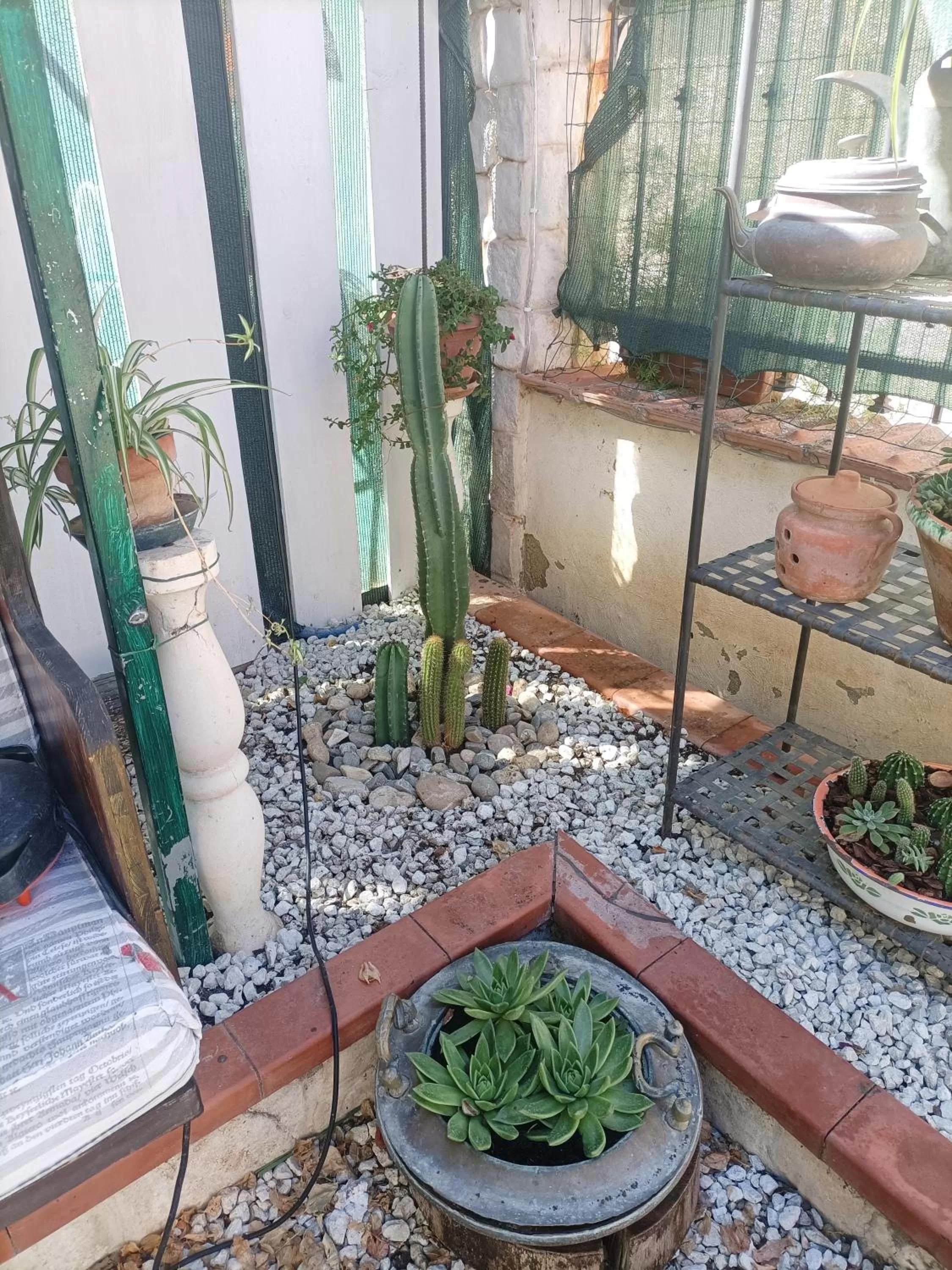 Garden in La Casa In Pietra