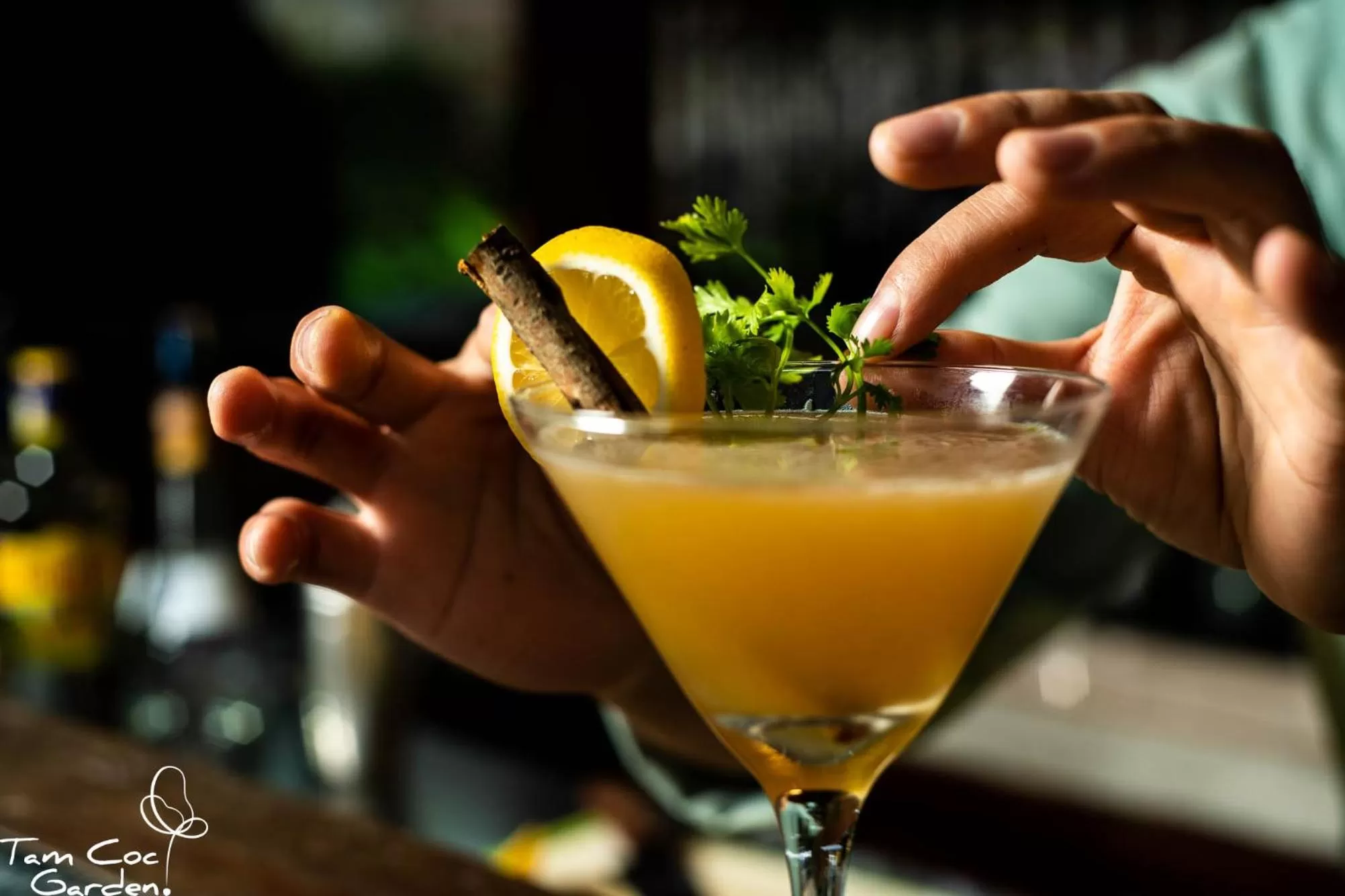 Food and drinks in Tam Coc Garden Resort