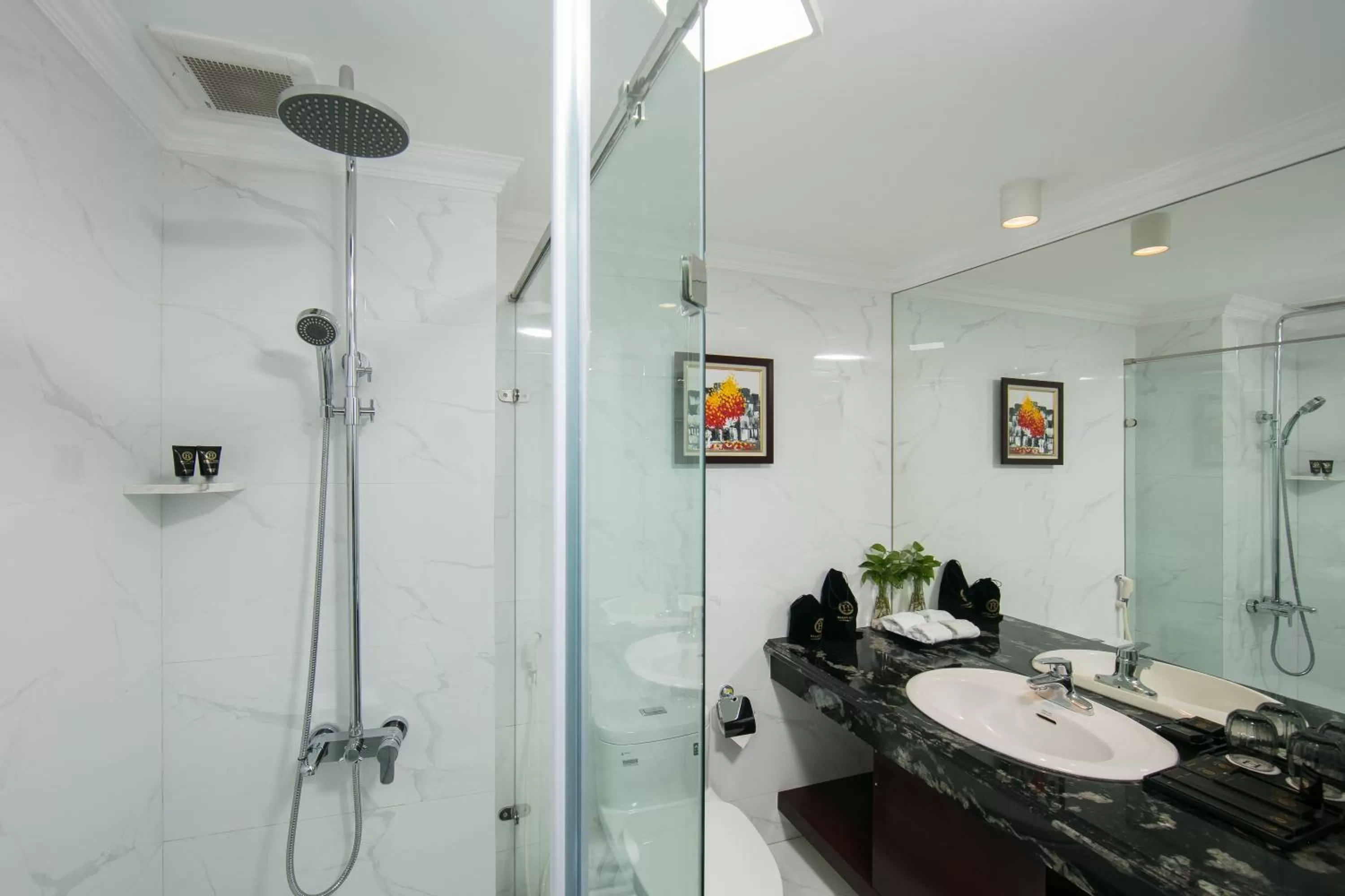 Shower in Halais Hotel