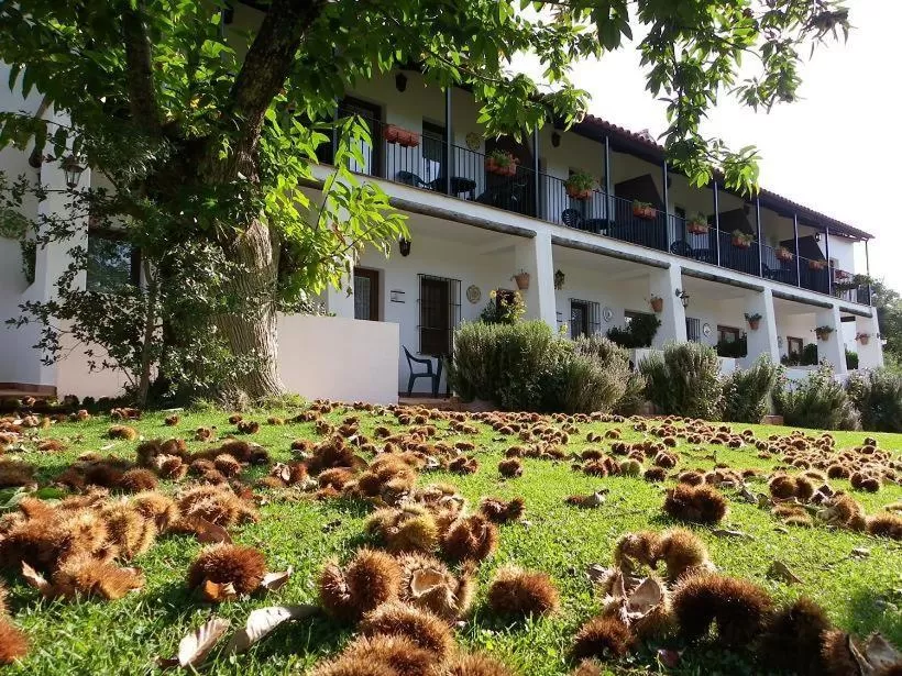 Property building in Hotel Apartamento Rural Finca La Media Legua