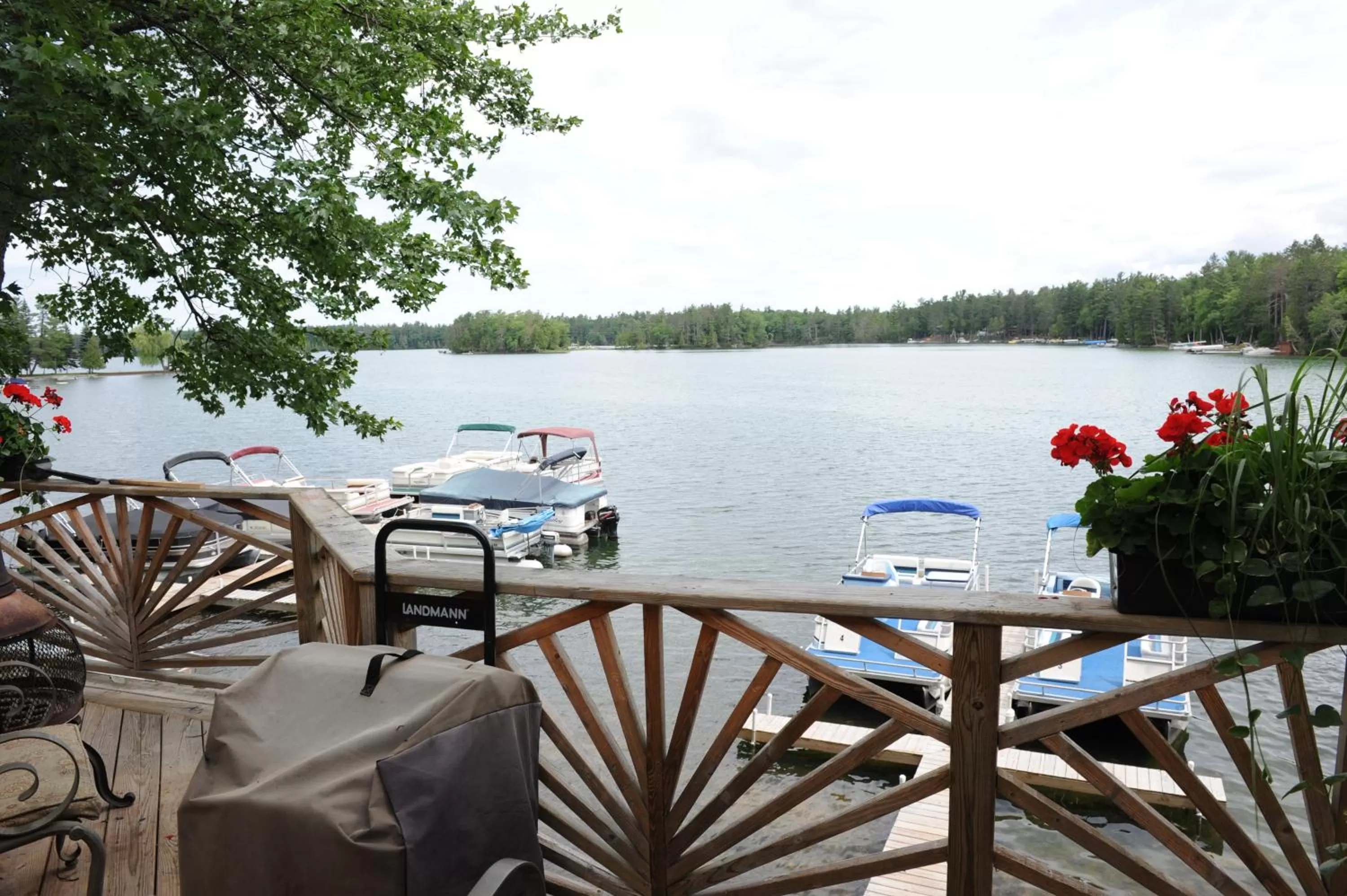 Natural landscape in Clear Lake Resort