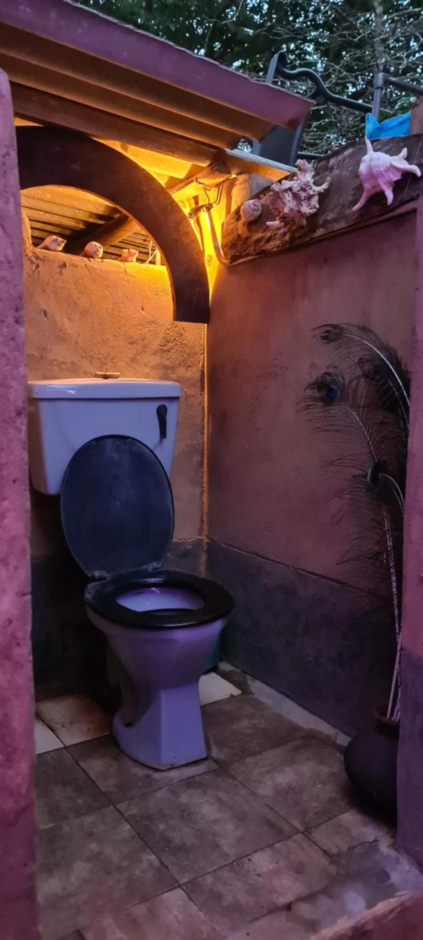 Bathroom in Jungle river humbhaha hostel