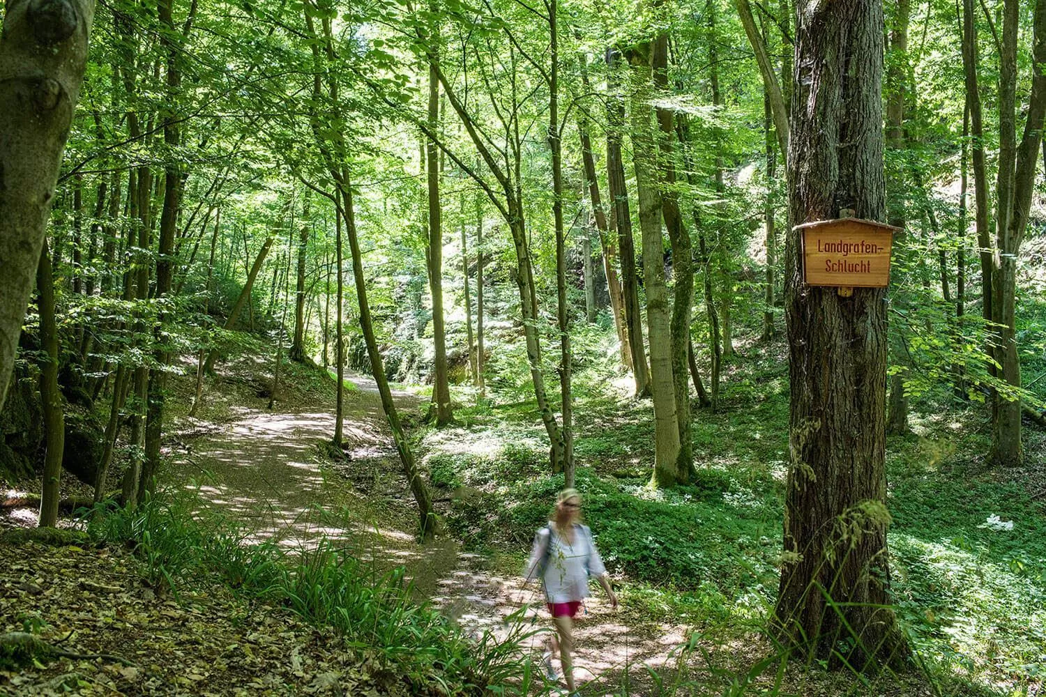 Nearby landmark in Suites MITTE - Aparthotel