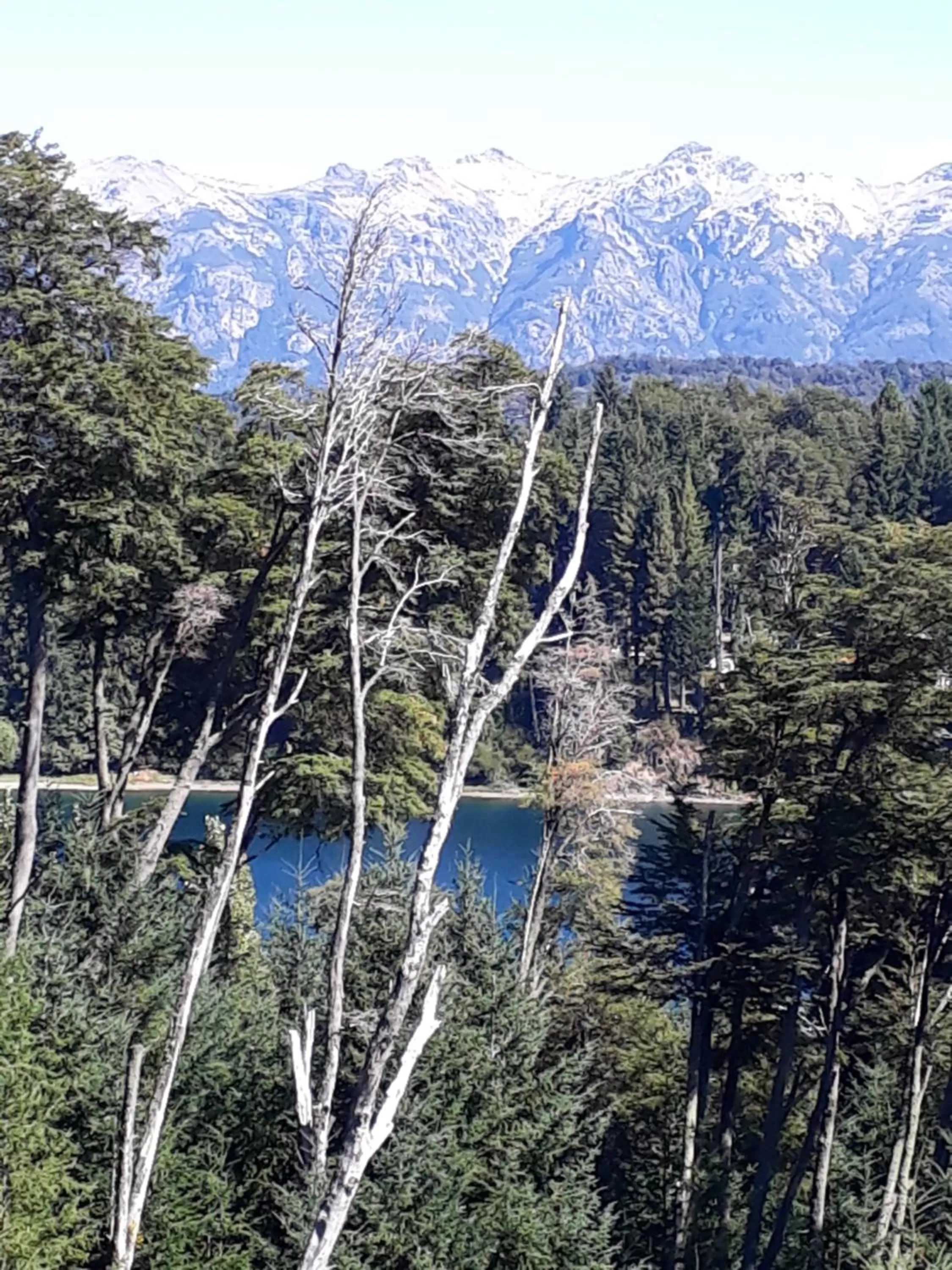 Natural landscape in Amigos del Bosque