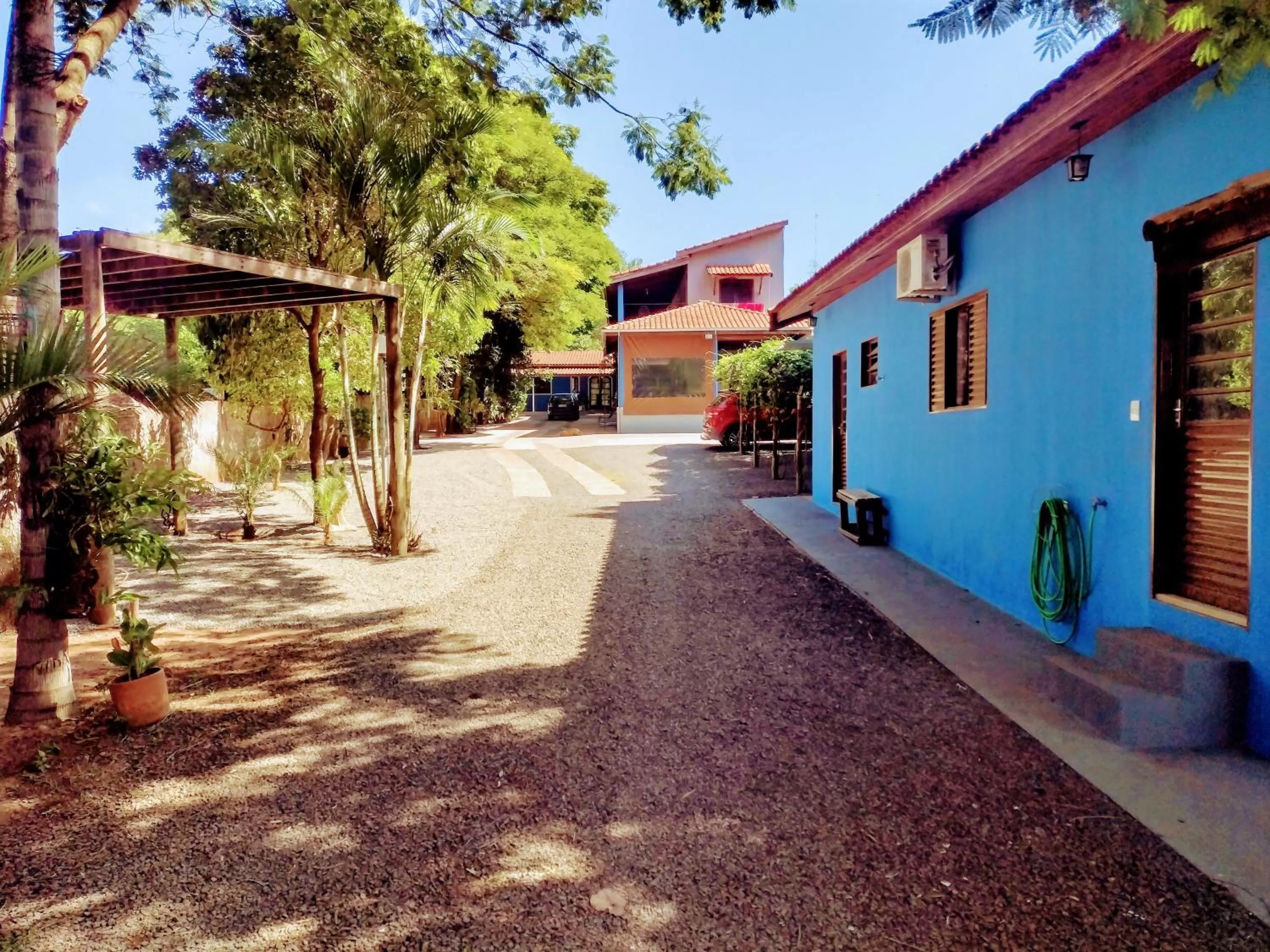 Suits - Canto do sabia