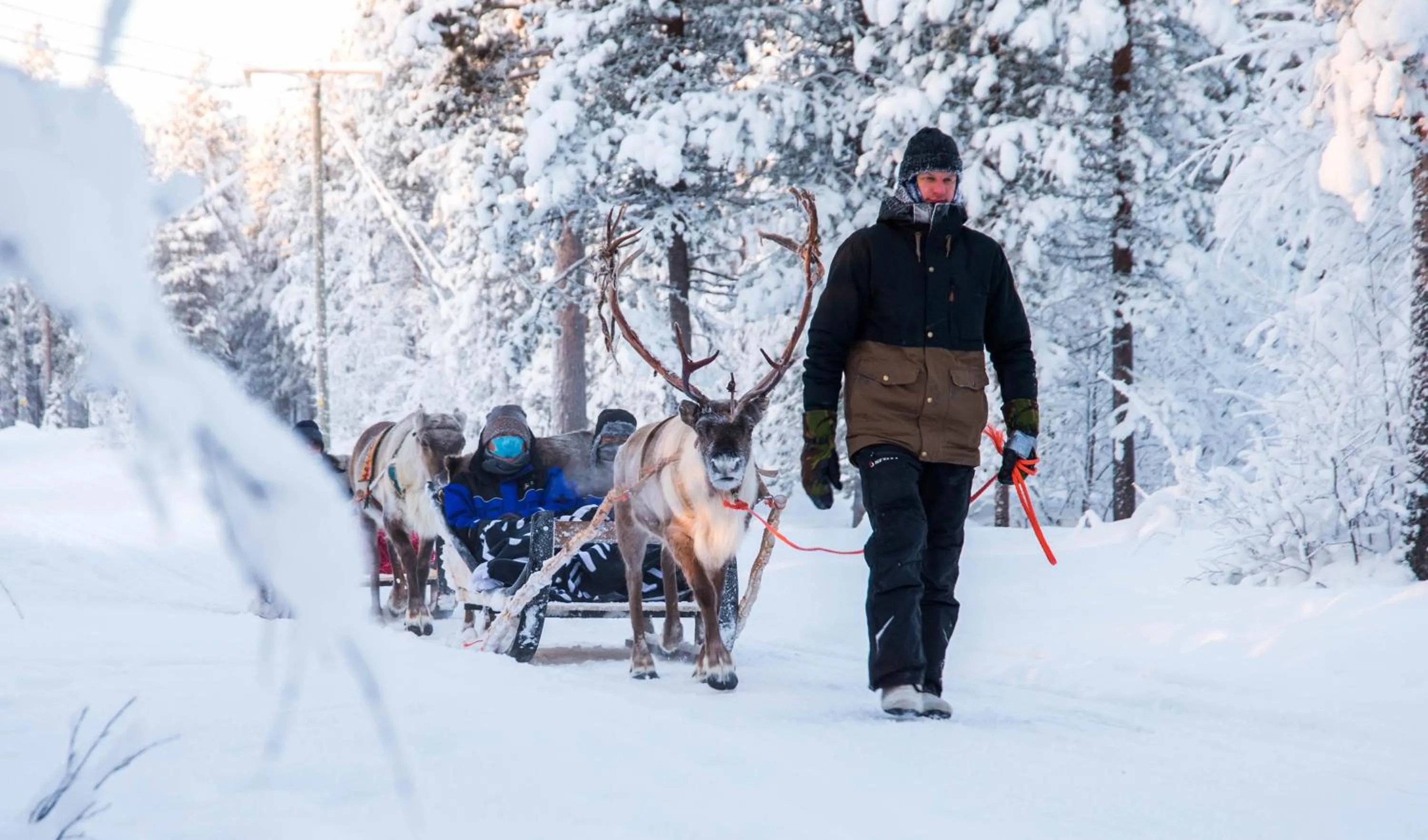 Staff in Aurora Village Ivalo