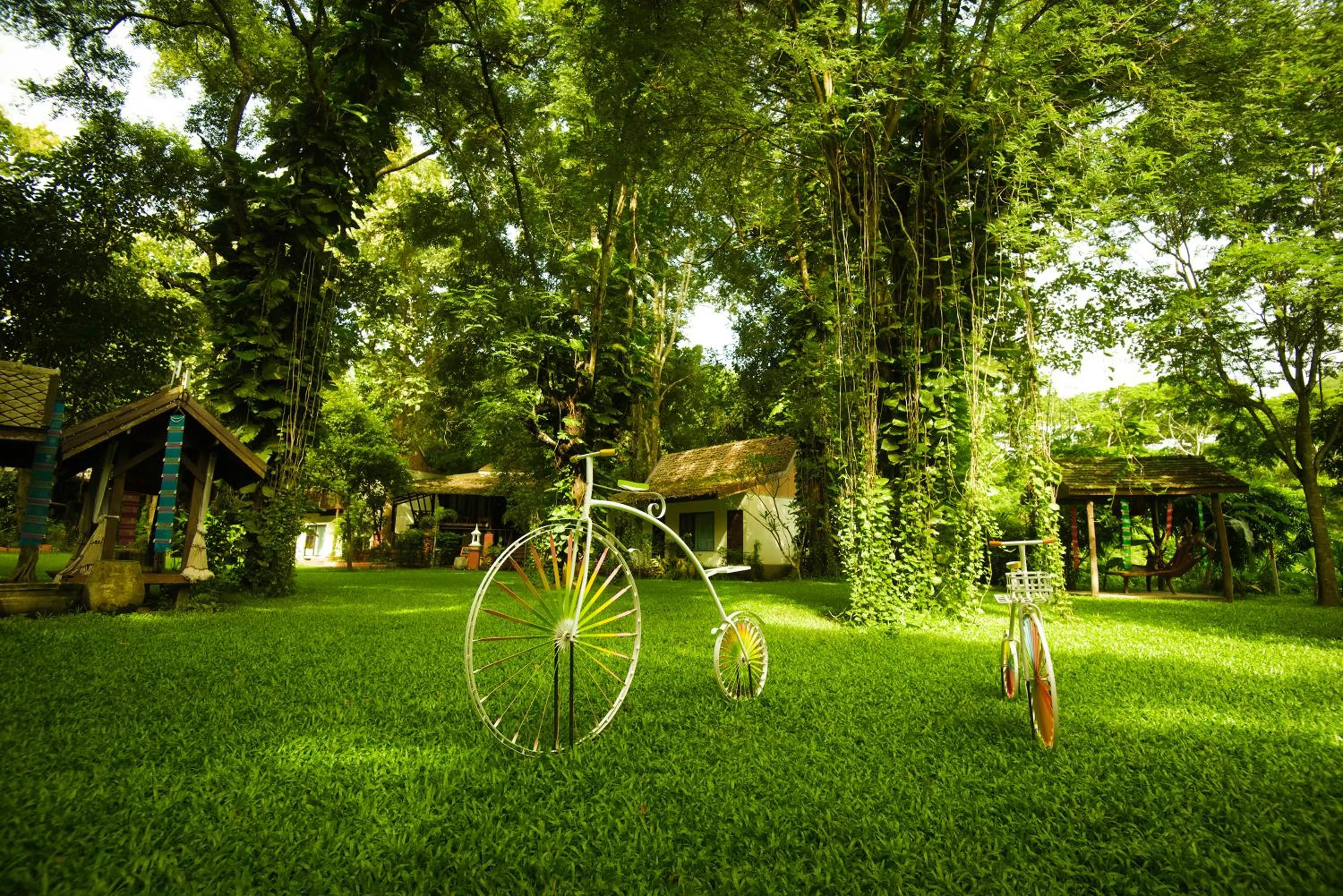 Garden view in E-Outfitting Doikham Resort