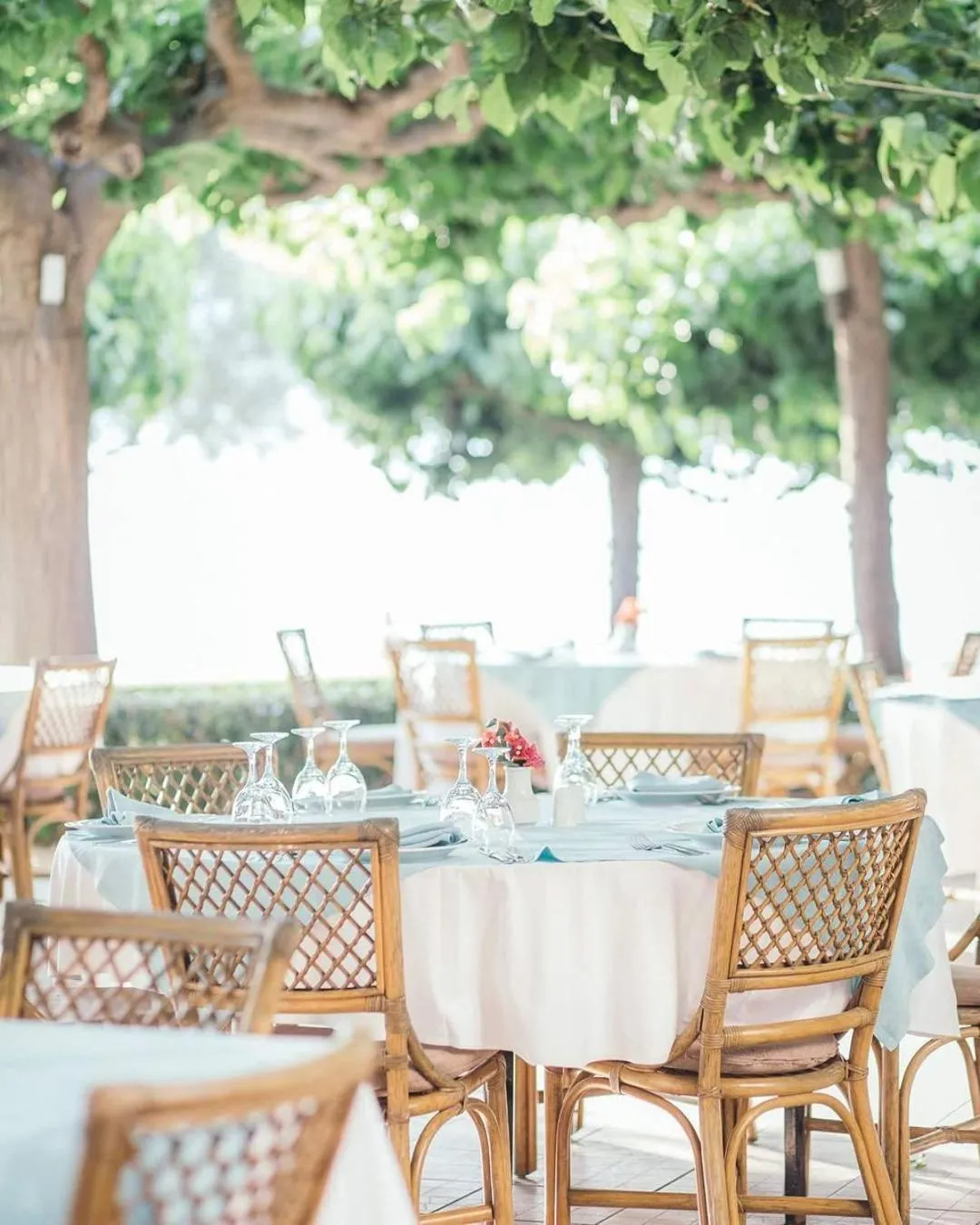 Tzaki hotel & restaurant Patras